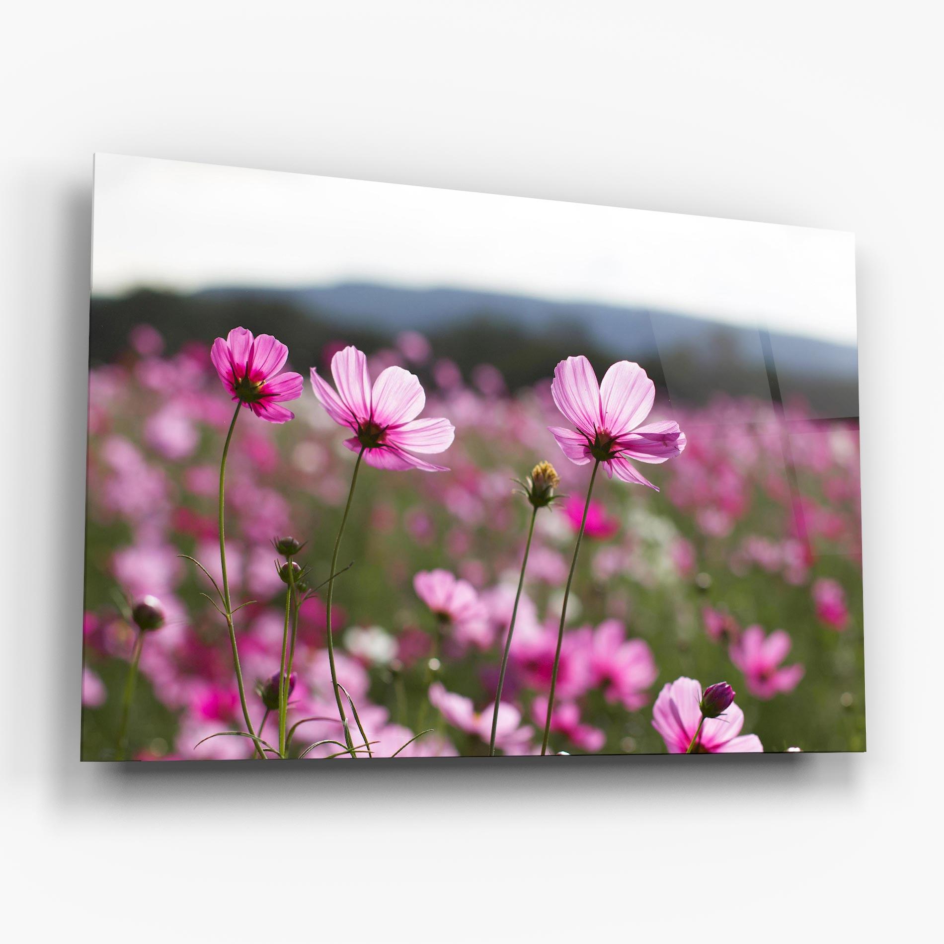 Стъклена картина Cosmos Flower mockup 6