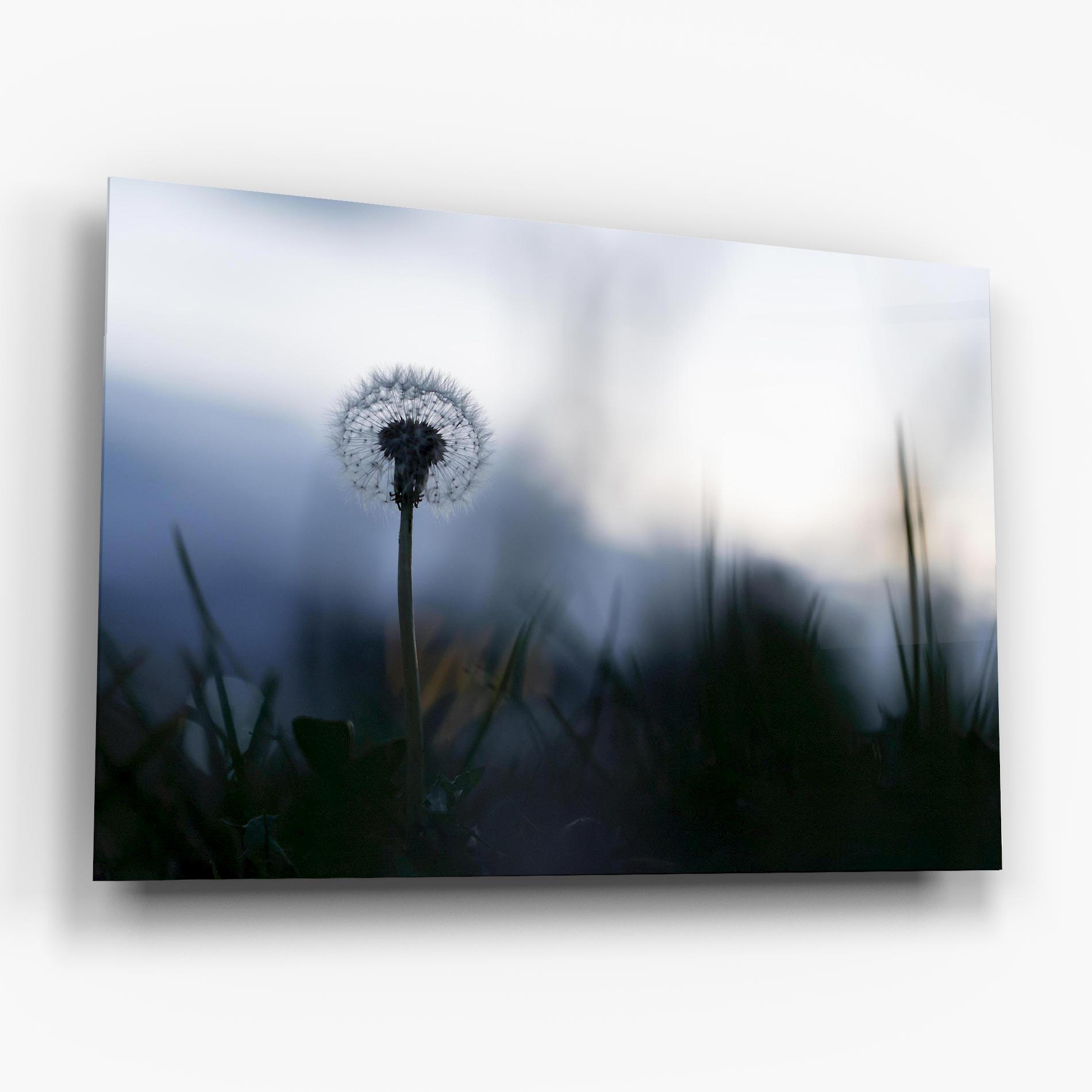 Стъклена картина Dandelion Wild View mockup 6