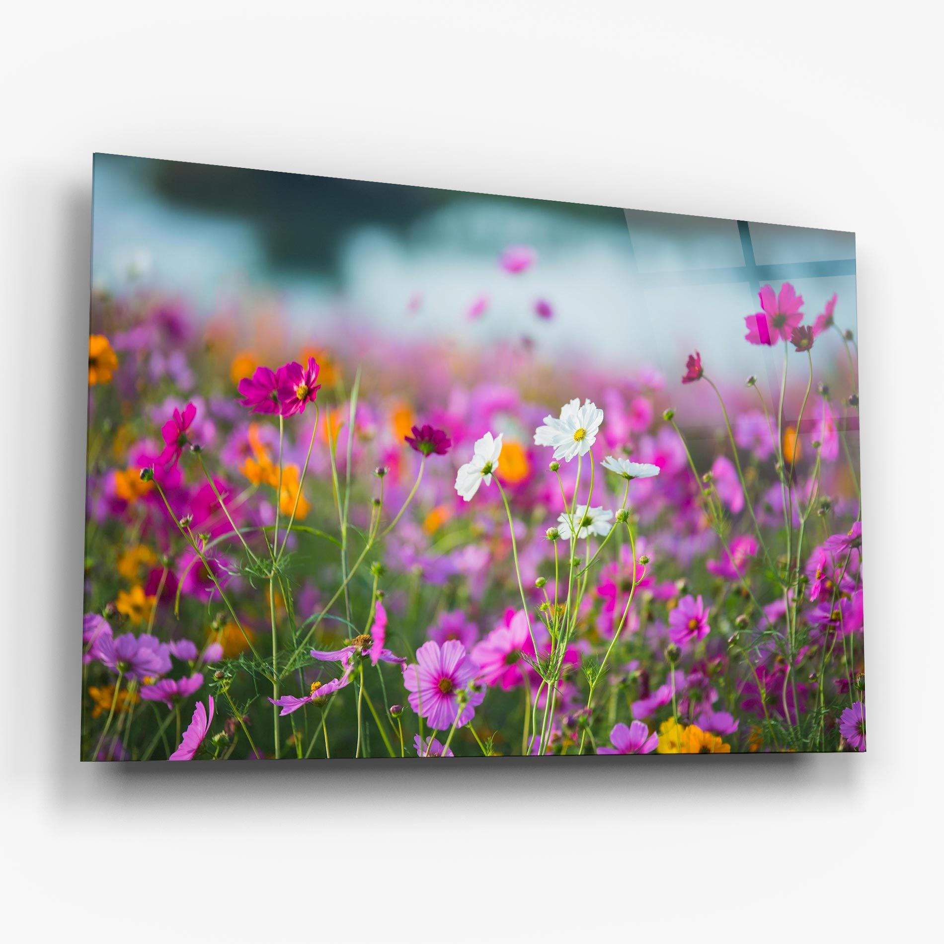 Flower Grassland mockup 6