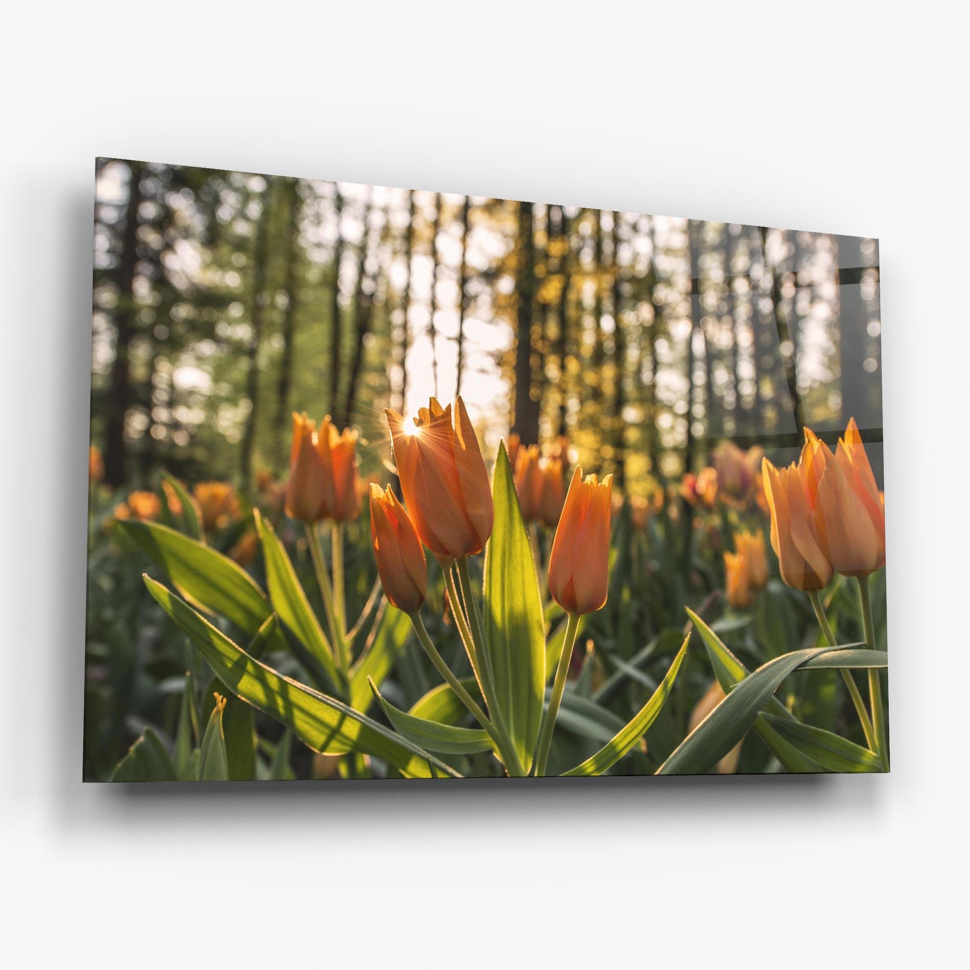 Стъклена картина Forest Tulips mockup 6