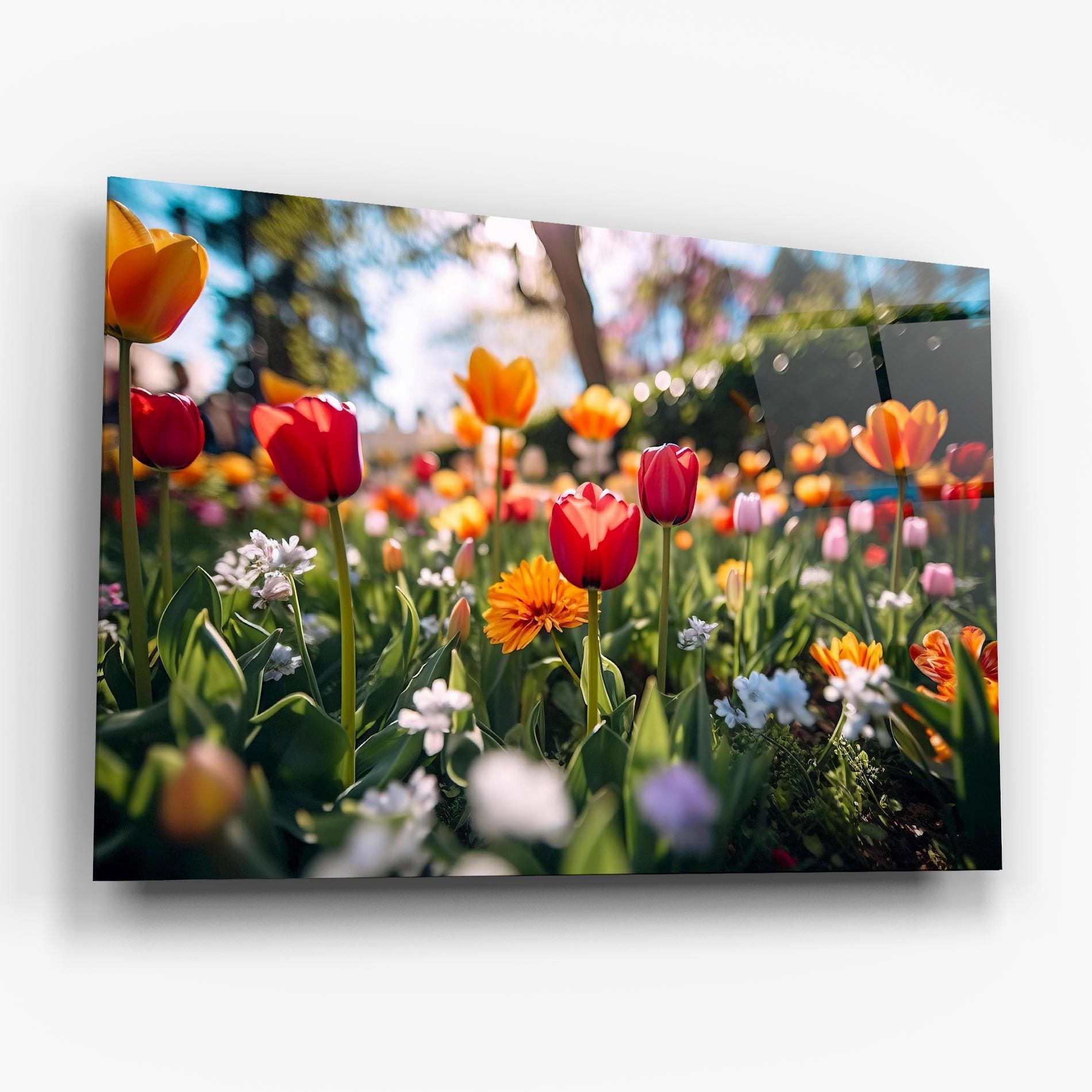 Garden Tulips Mix mockup 6