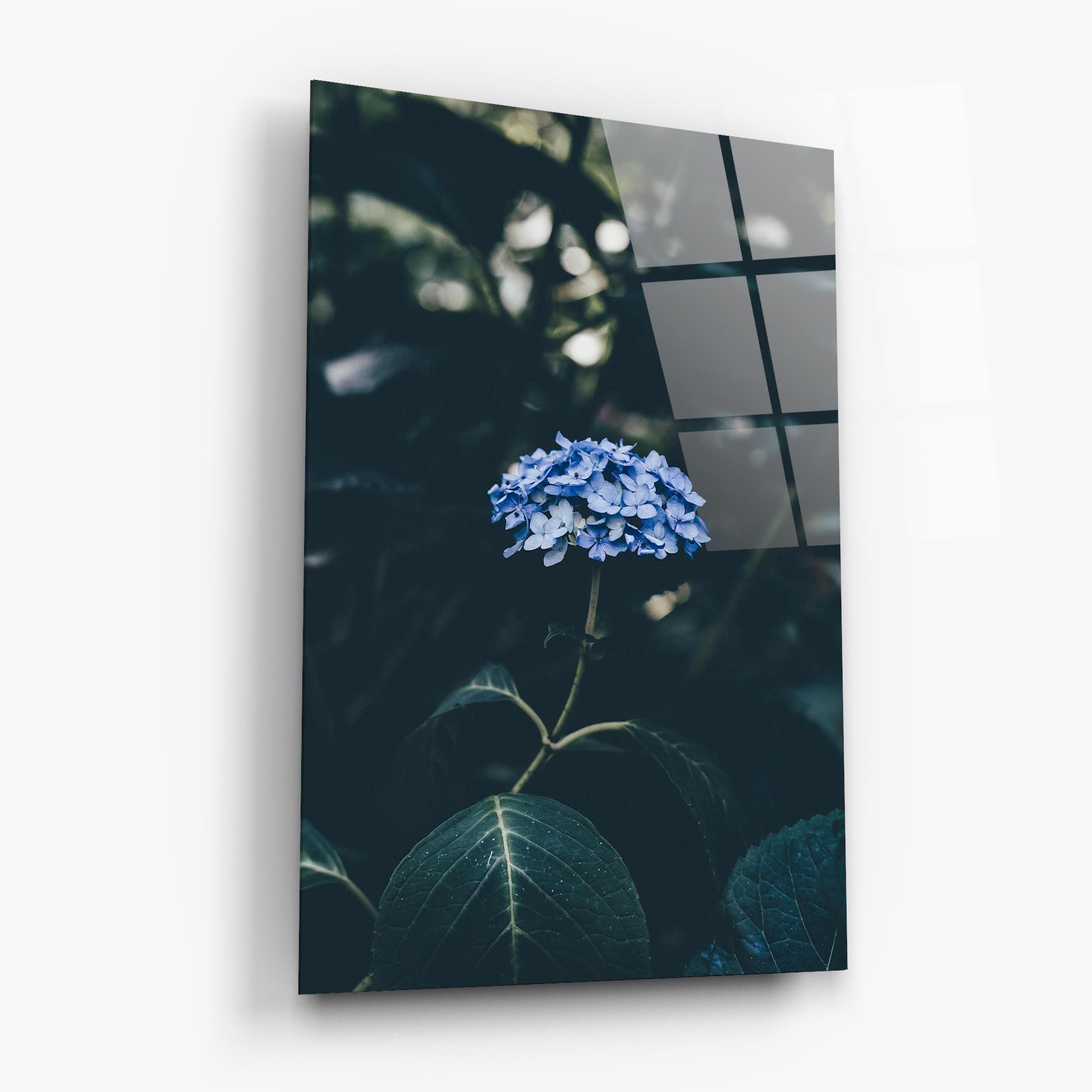 Forest Blue Flower mockup 6
