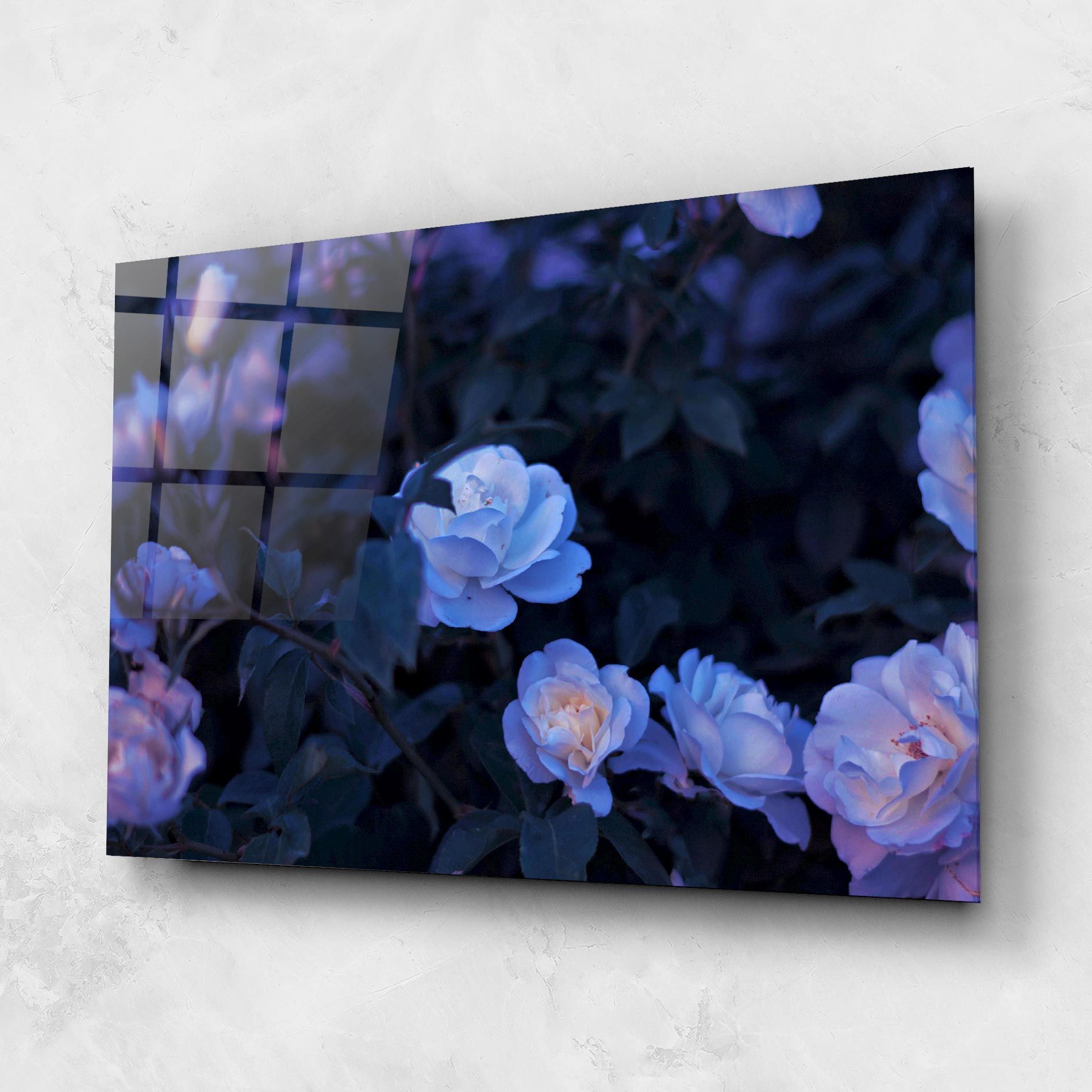 Blue Light Rose mockup 1