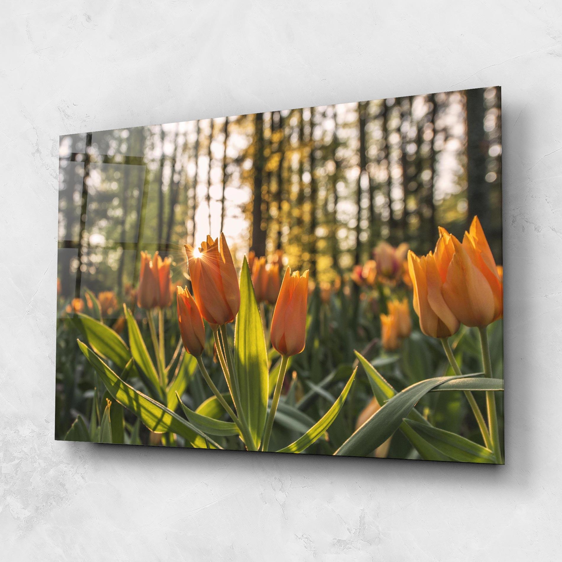 Стъклена картина Forest Tulips mockup 1