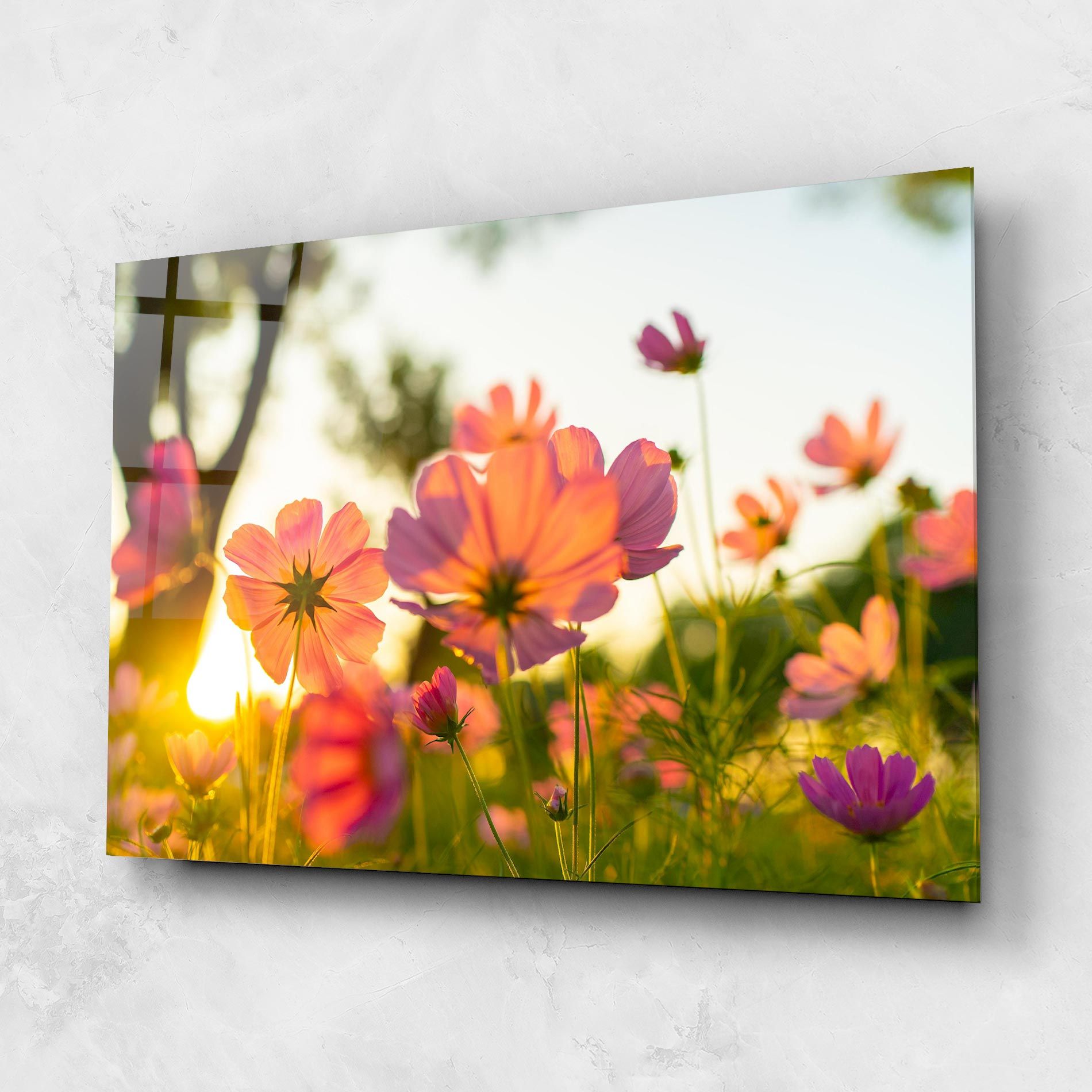 Sunset Blooming Flower mockup 1
