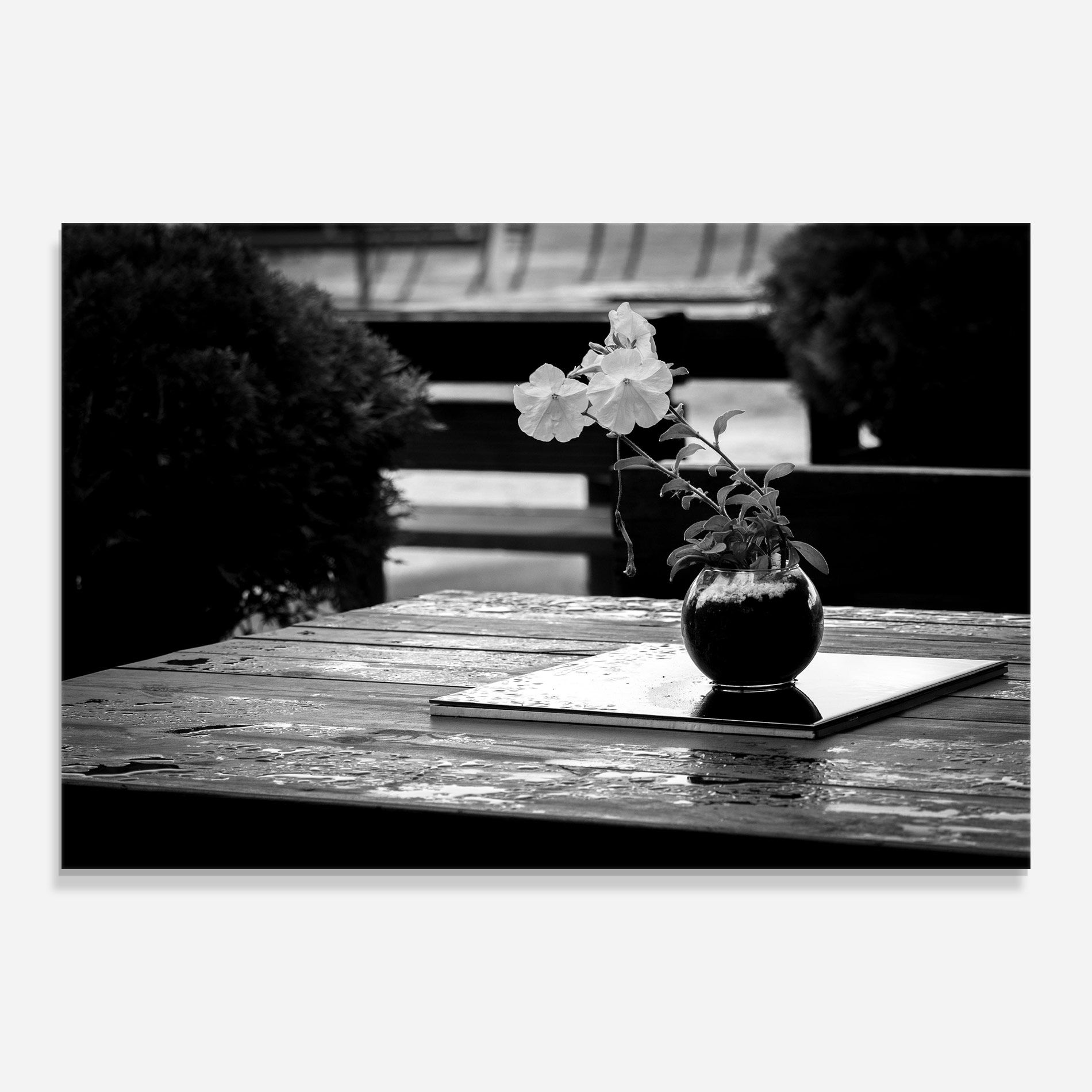 Black Vase View mockup 0