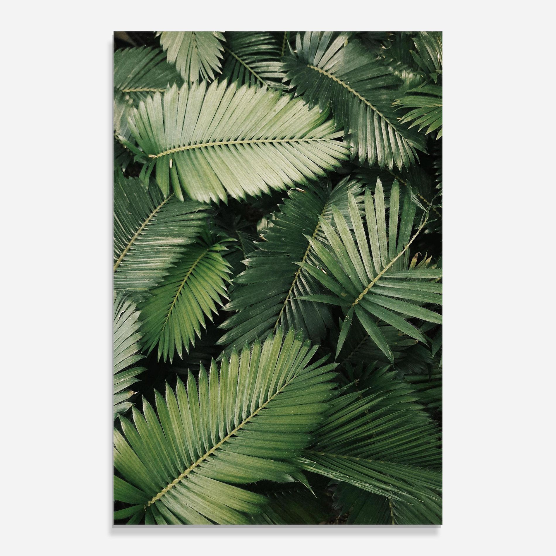 Green Leaves mockup 0