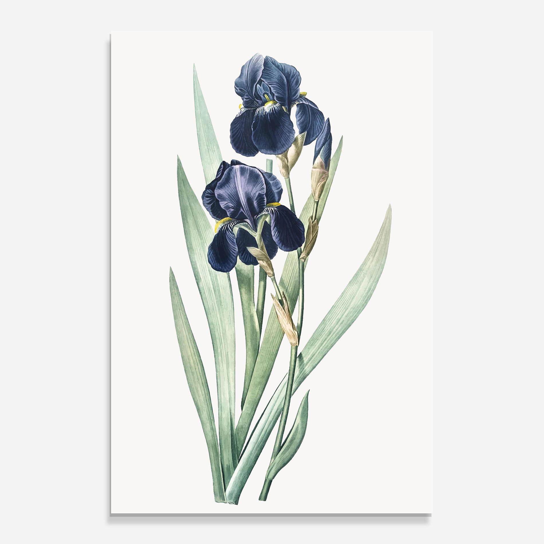 Стъклена картина Dark Blue Iris mockup 0