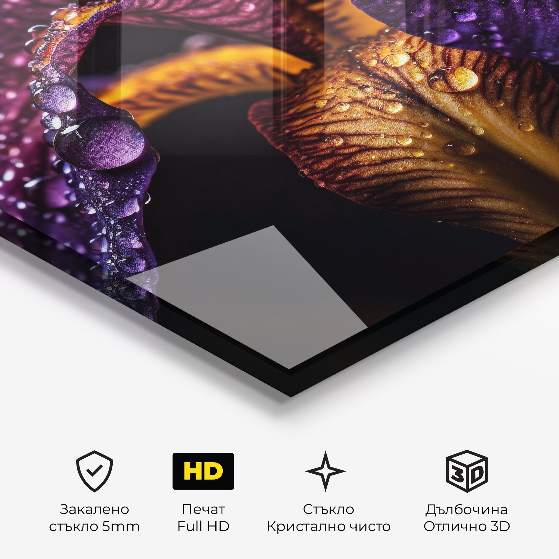 Dark Iris After Rain mockup 3