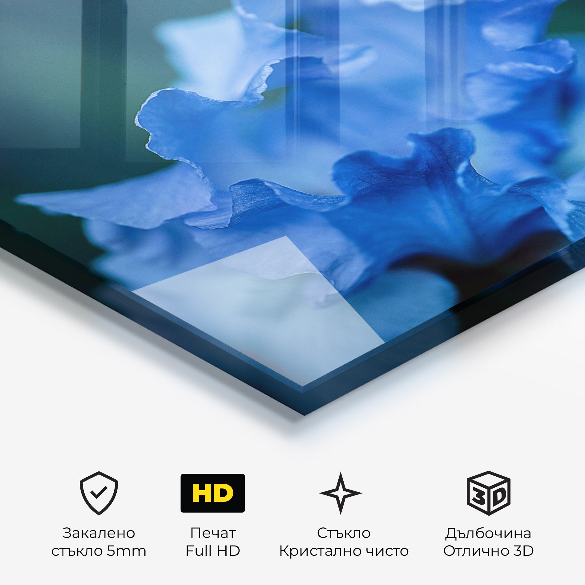 Ocean Blue Iris mockup 3