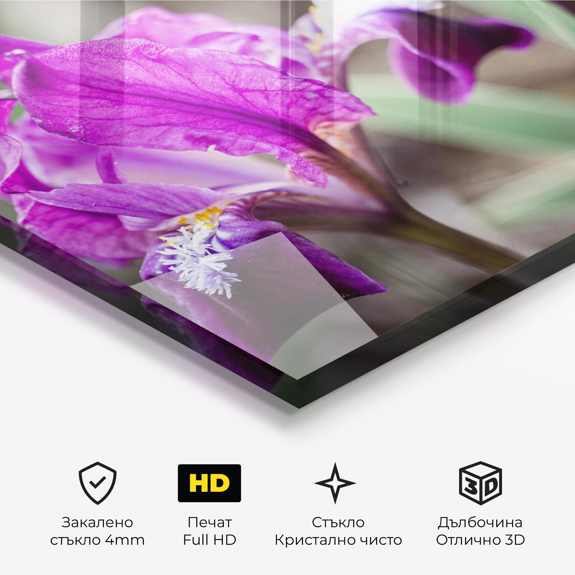 Стъклена картина Dark Pink Iris mockup 3