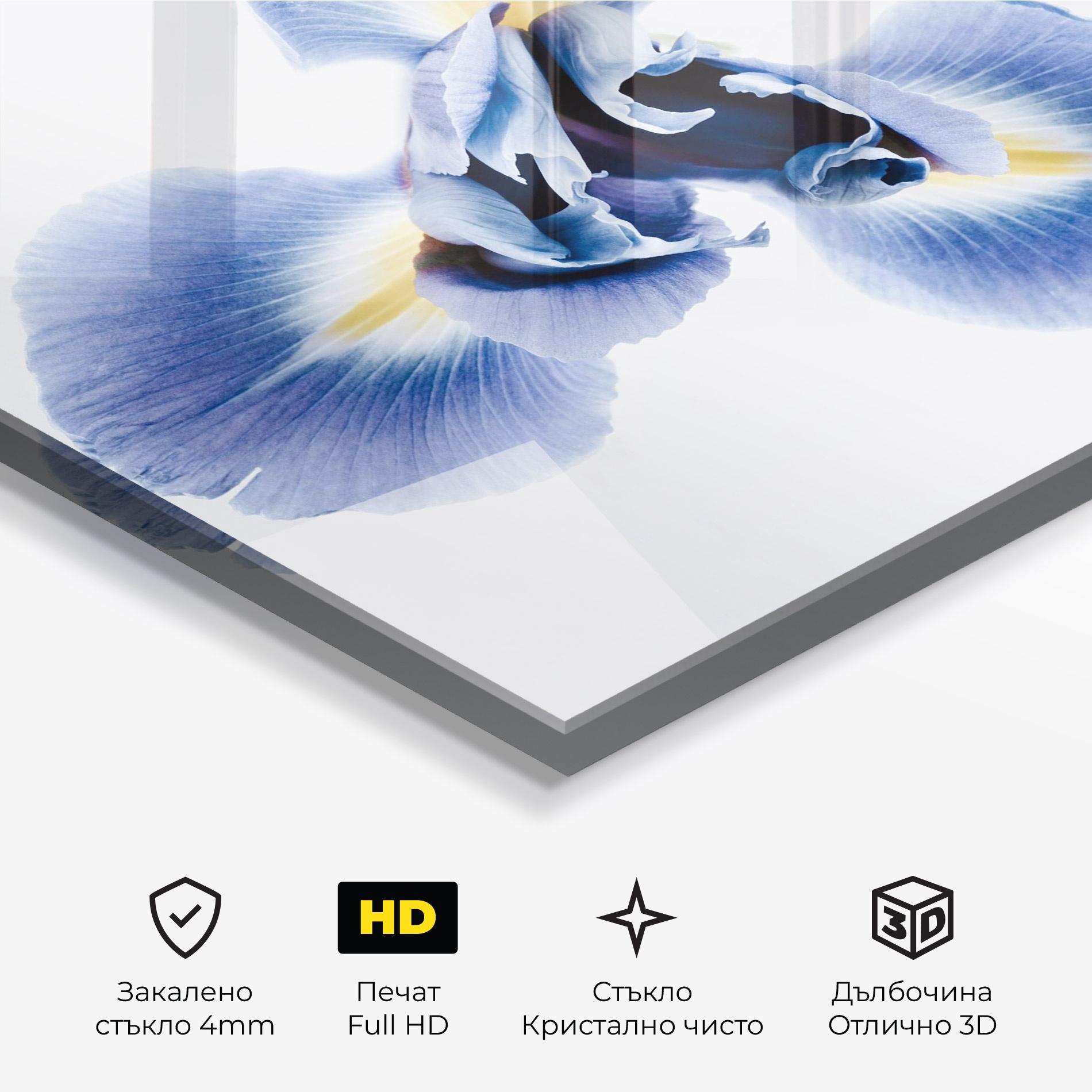 Стъклена картина Iris Flower mockup 3