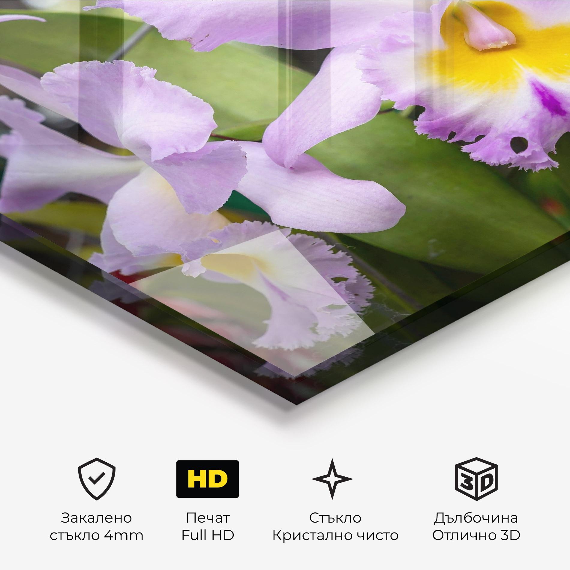 Стъклена картина Light Purple Iris mockup 3
