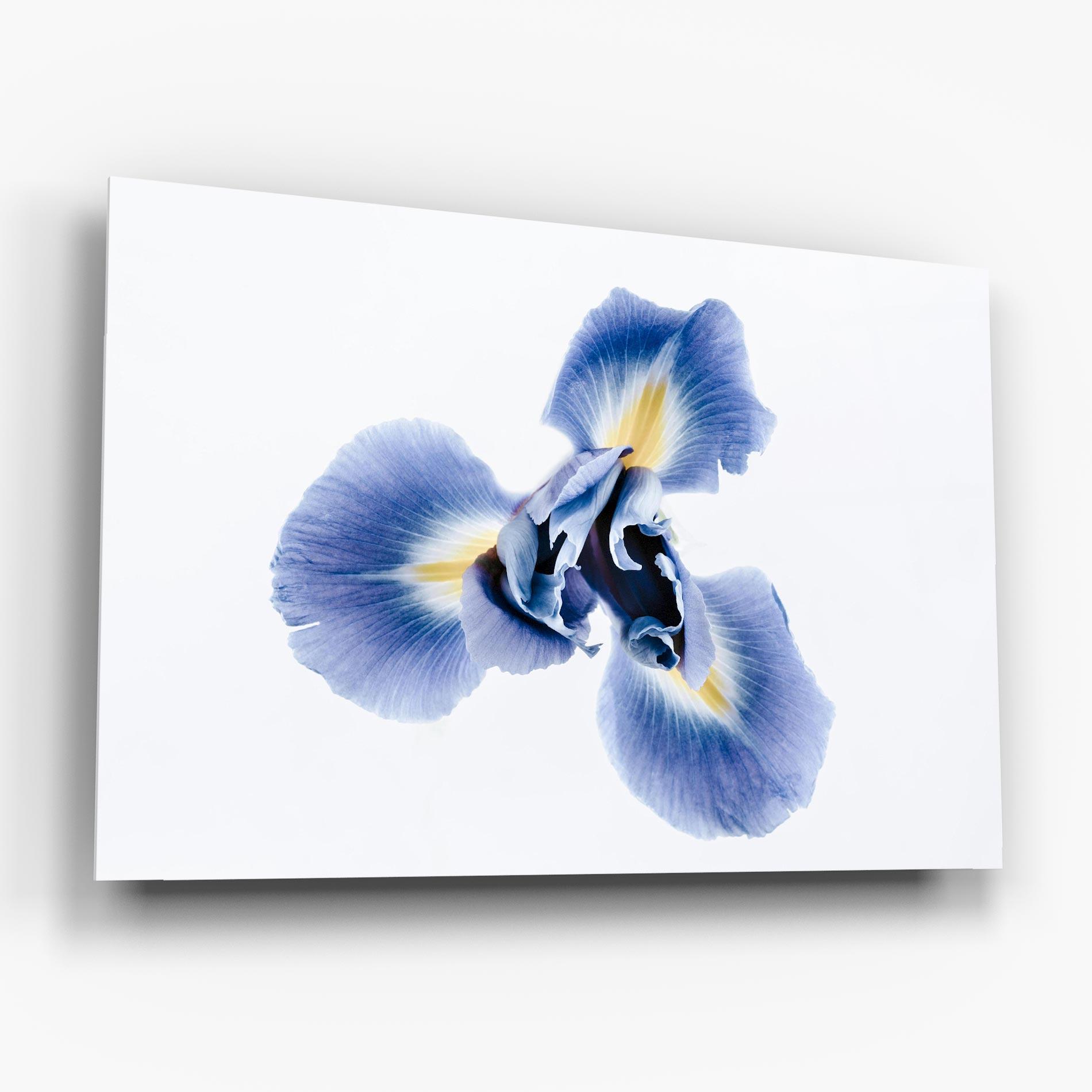 Стъклена картина Iris Flower mockup 6