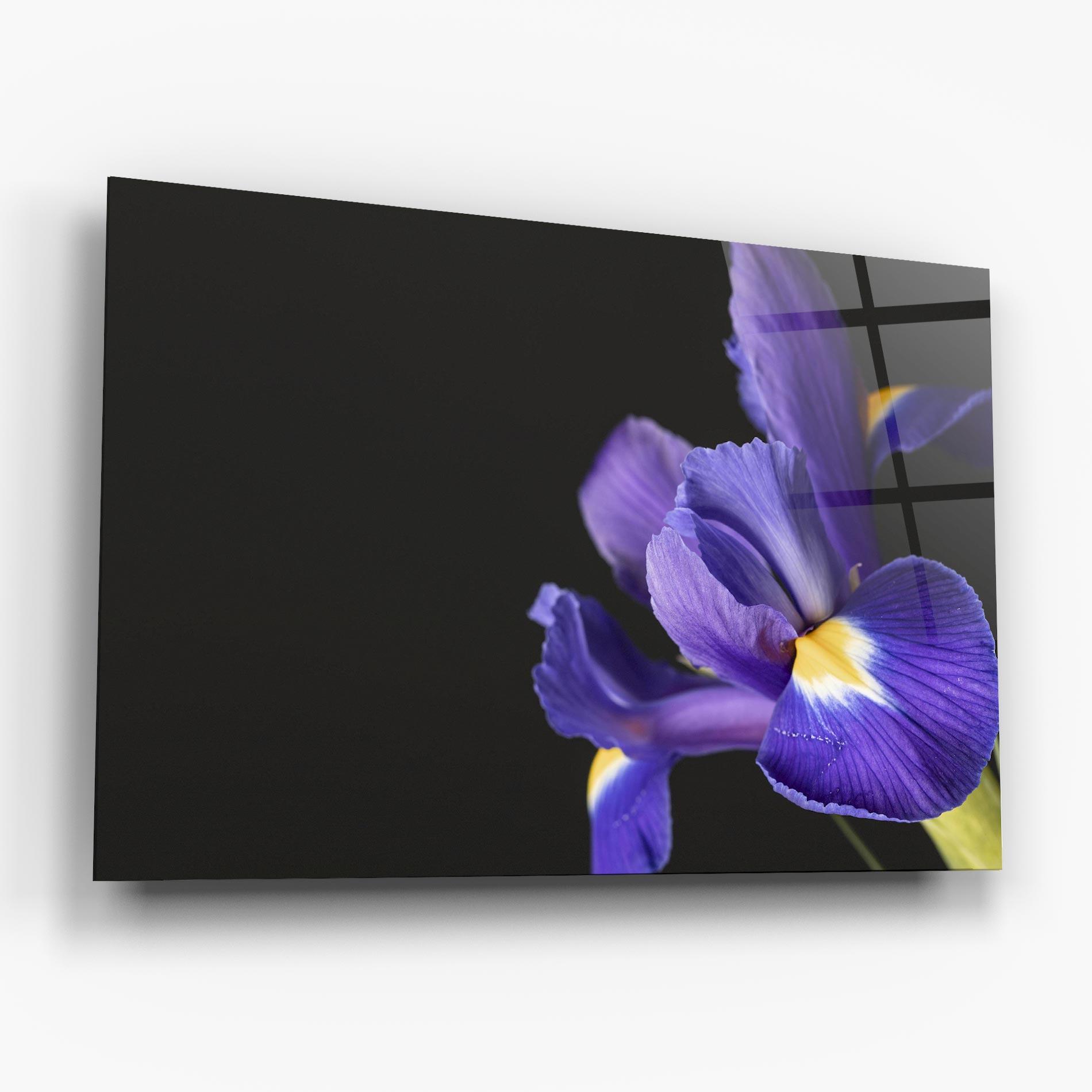 Стъклена картина Iris On Black mockup 6