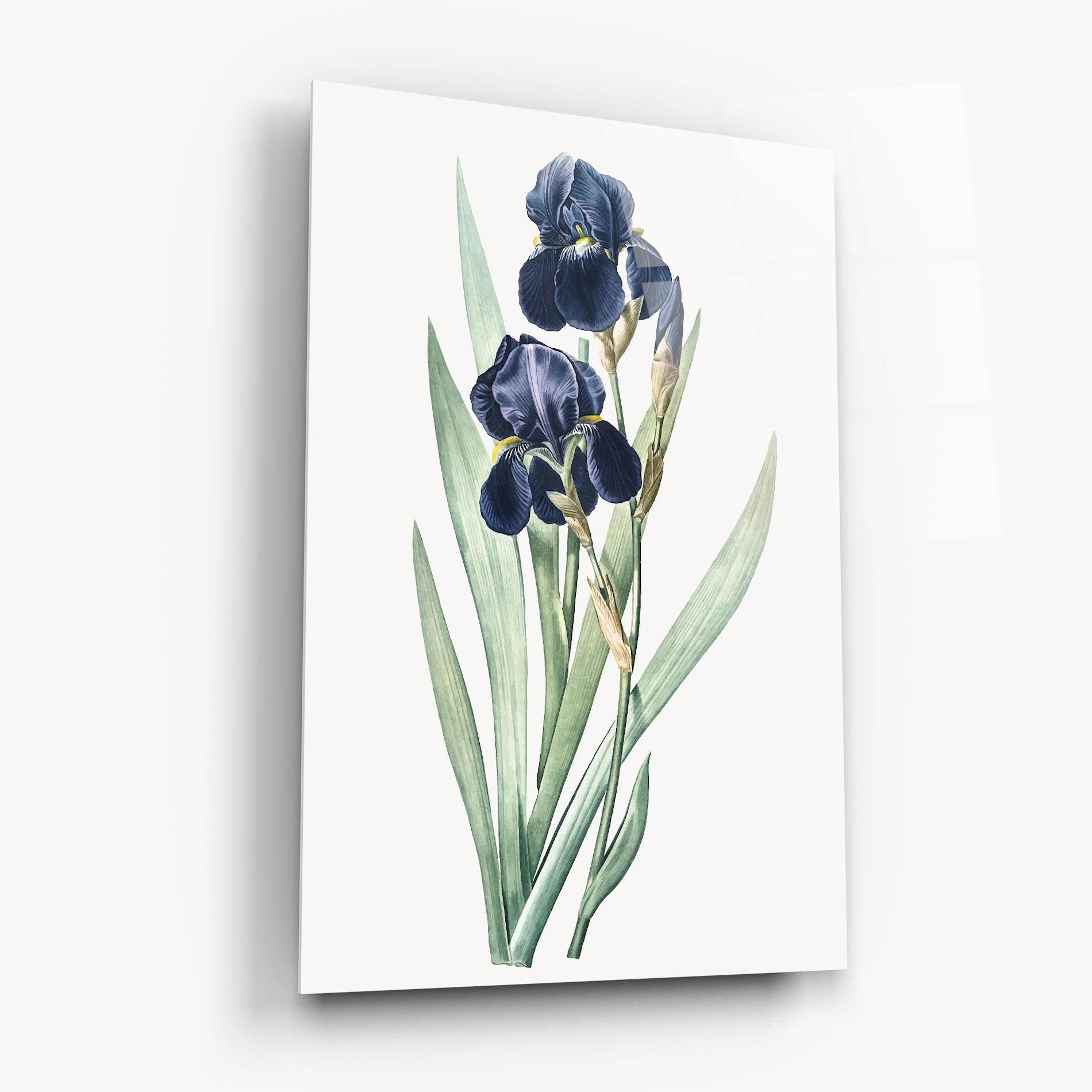 Стъклена картина Dark Blue Iris mockup 6