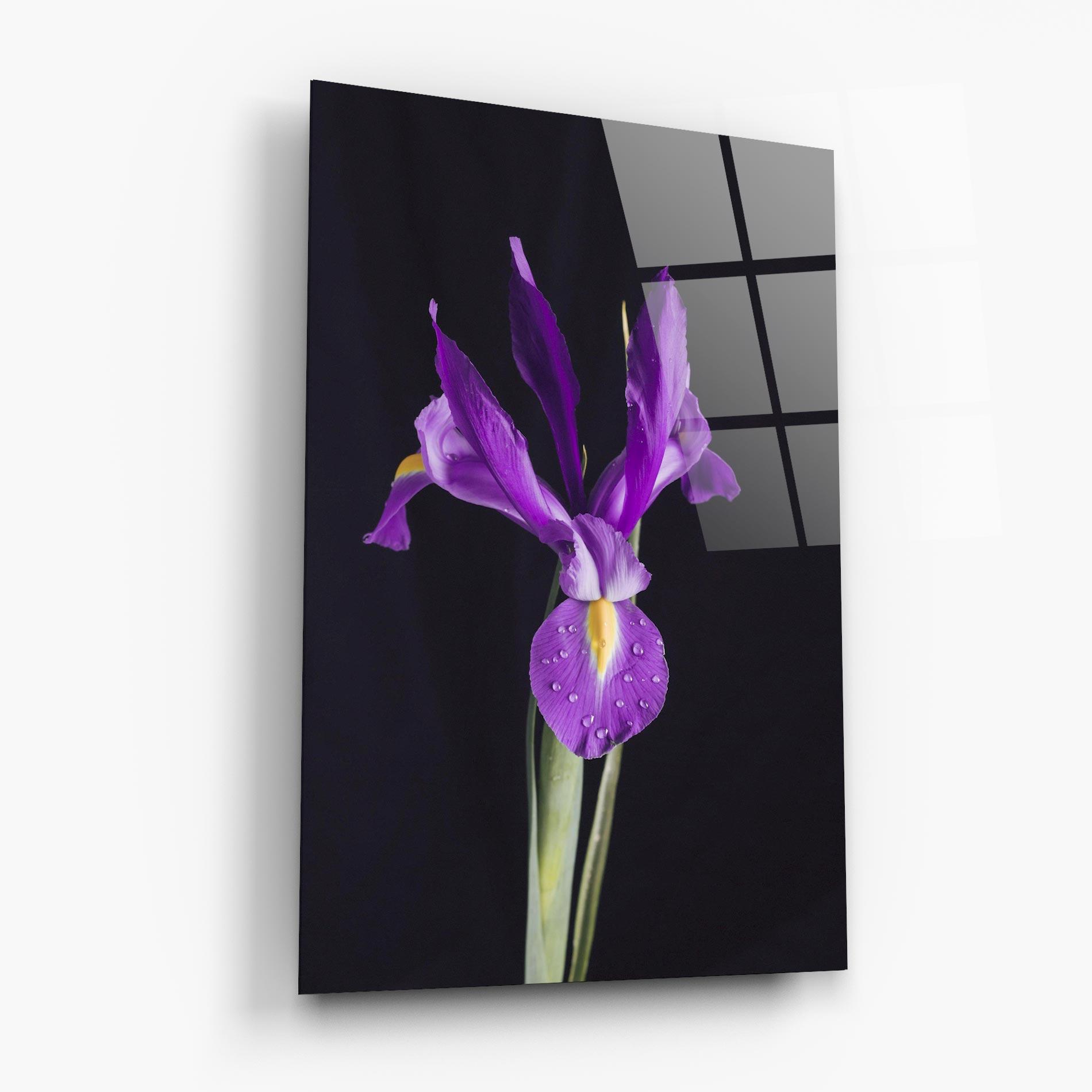 Стъклена картина Fresh Purple Iris mockup 6
