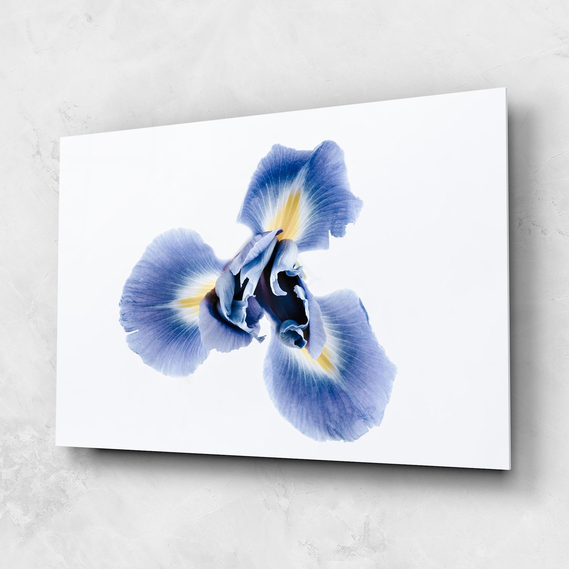 Стъклена картина Iris Flower mockup 1