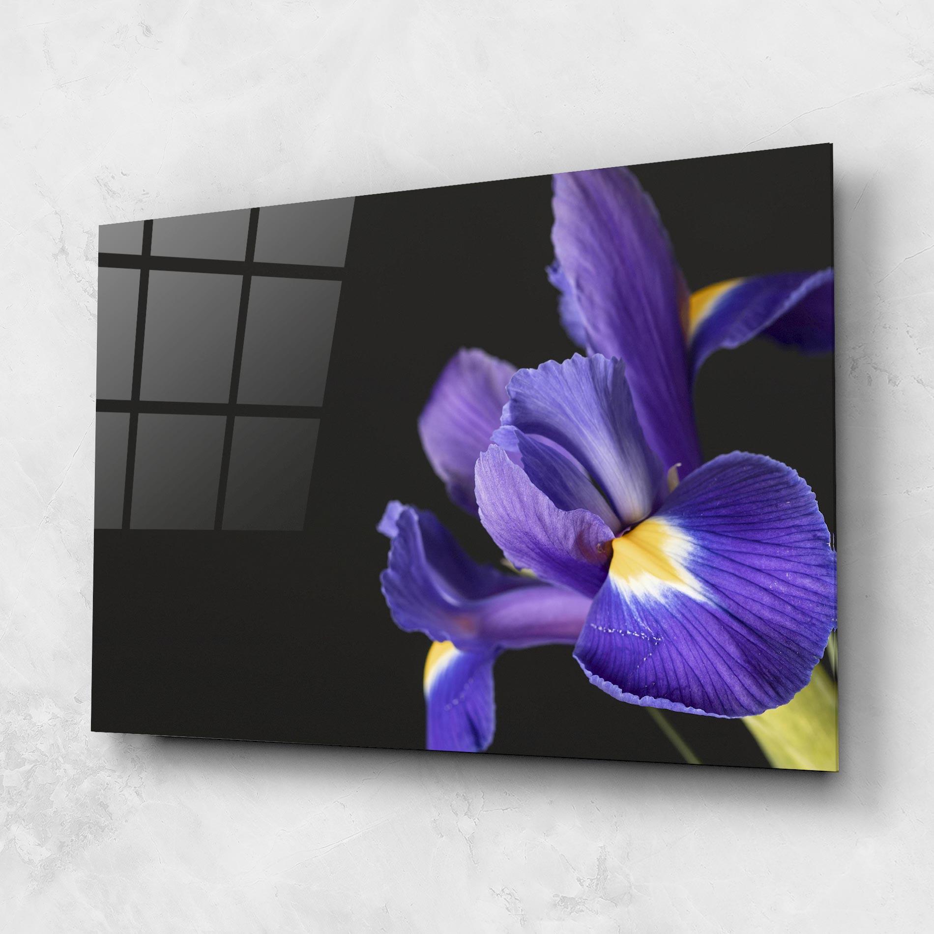 Стъклена картина Iris On Black mockup 1
