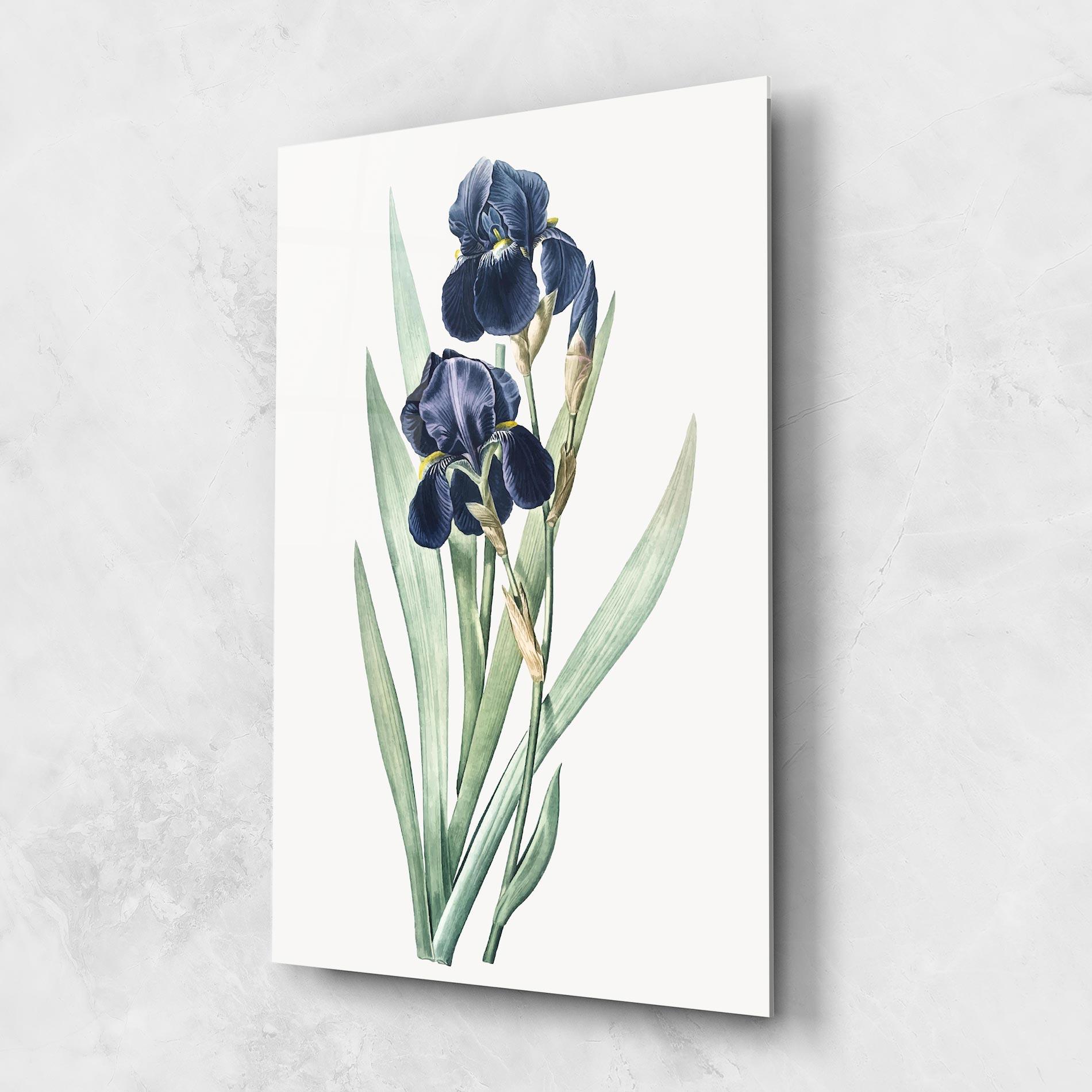Стъклена картина Dark Blue Iris mockup 1