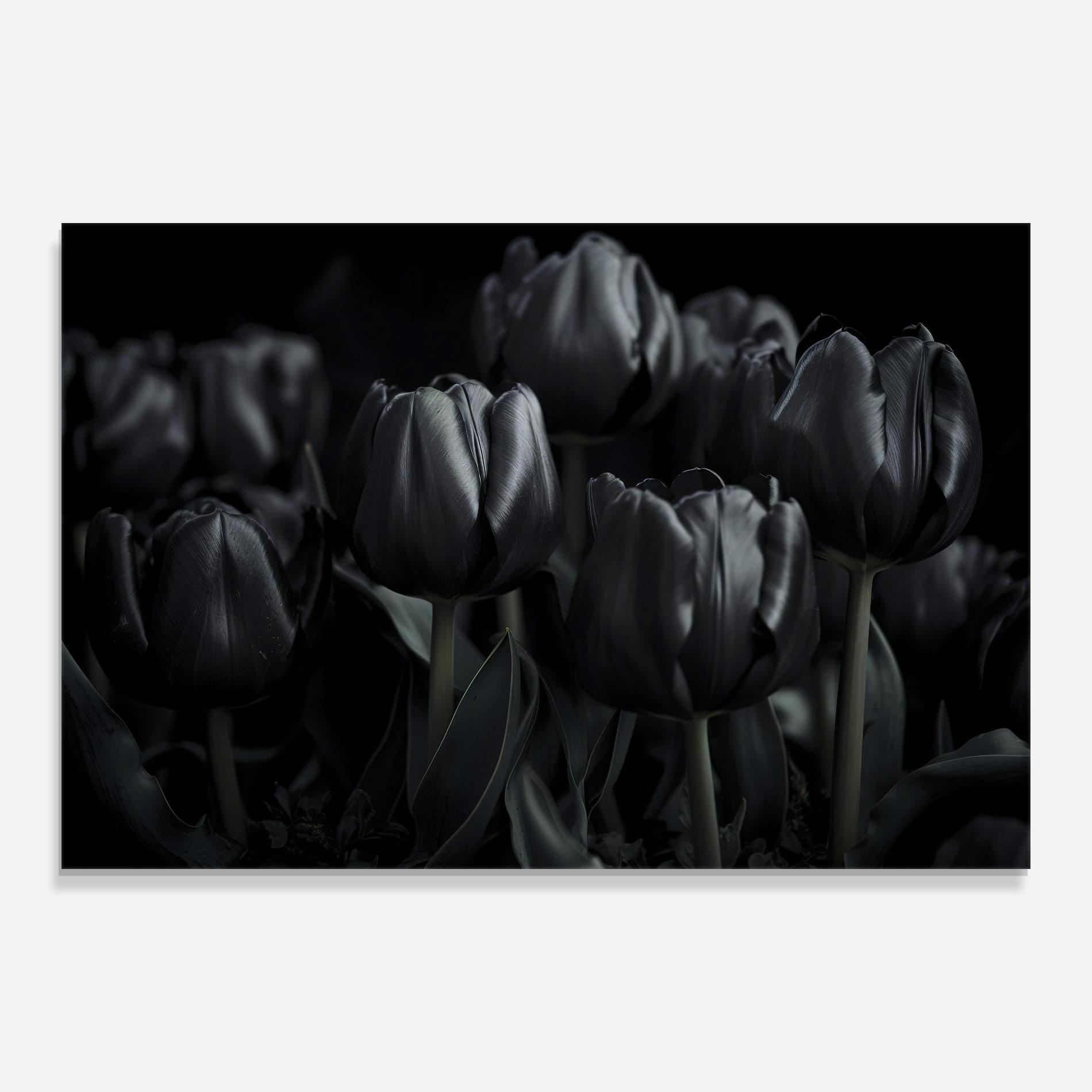 Стъклена картина Black Tulips mockup 0