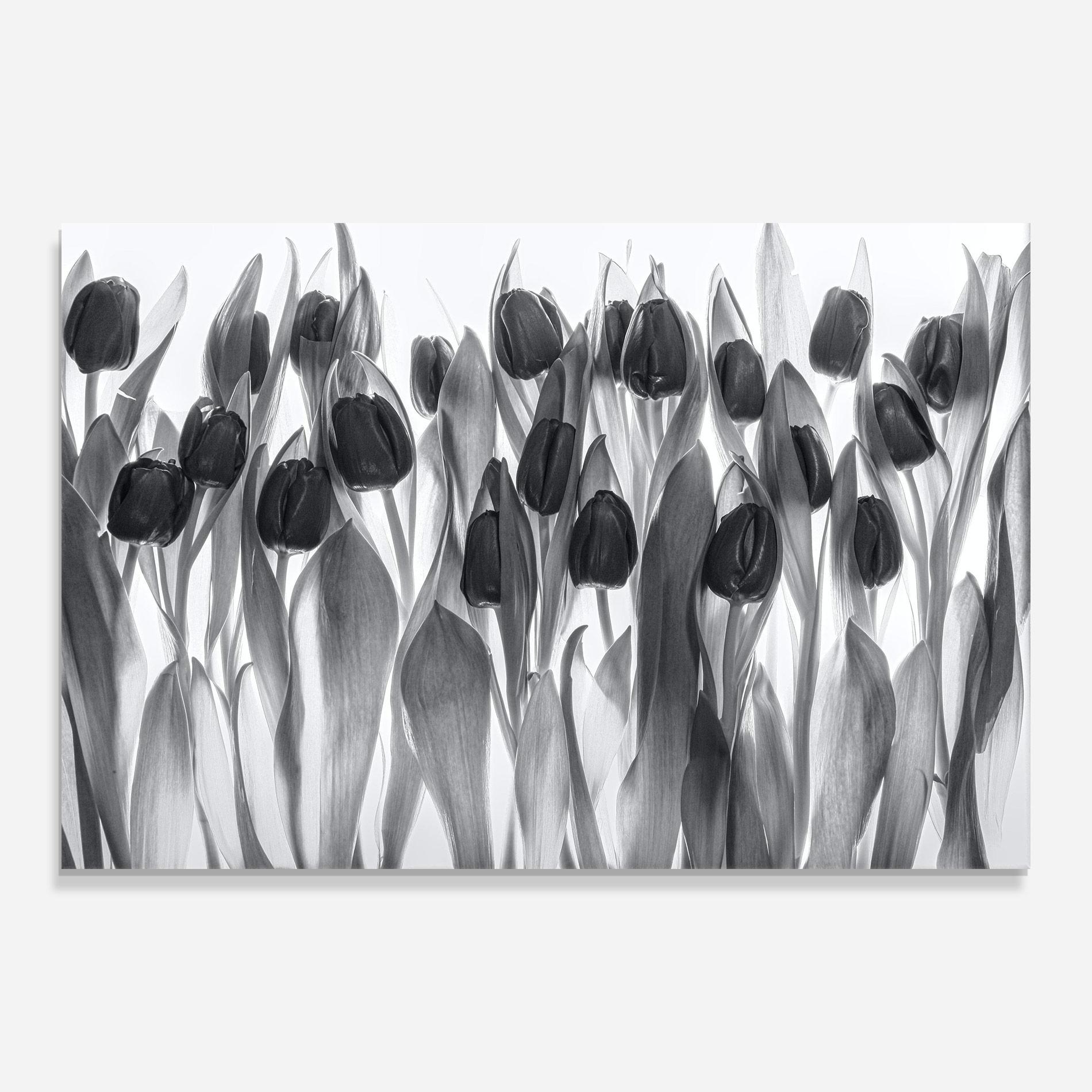 Стъклена картина Grey Tulips mockup 0