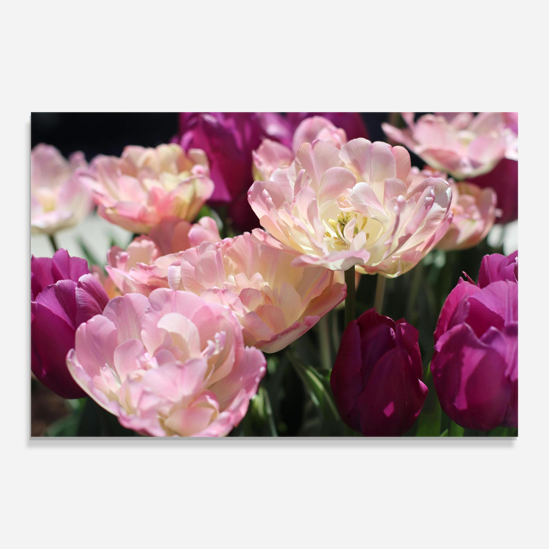 Стъклена картина Opened Tulips mockup 0