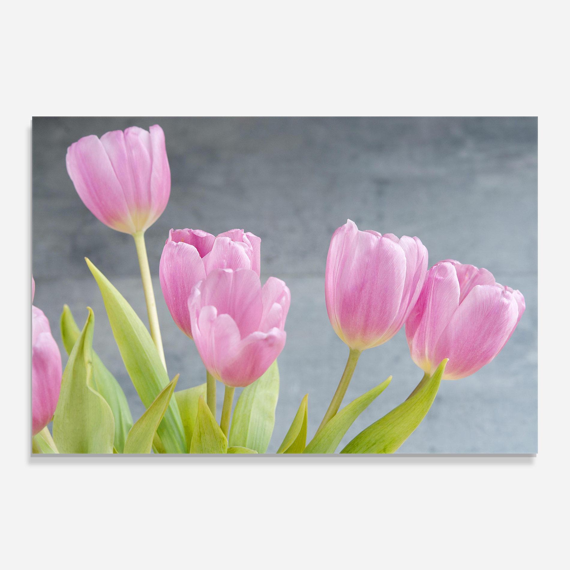 Стъклена картина Pink Pastel Tulip On Grey mockup 0
