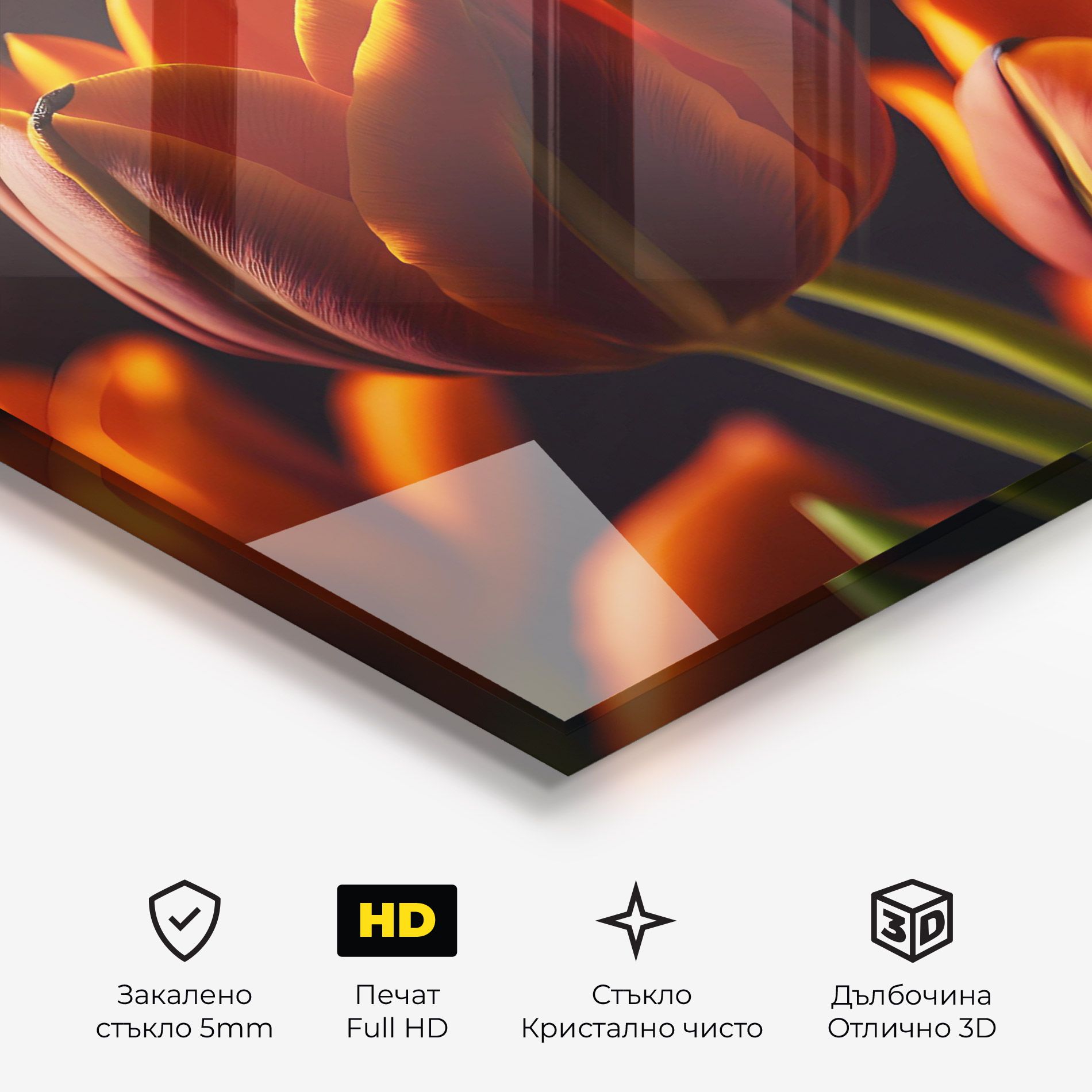 Close Up Orange Tulip mockup 3