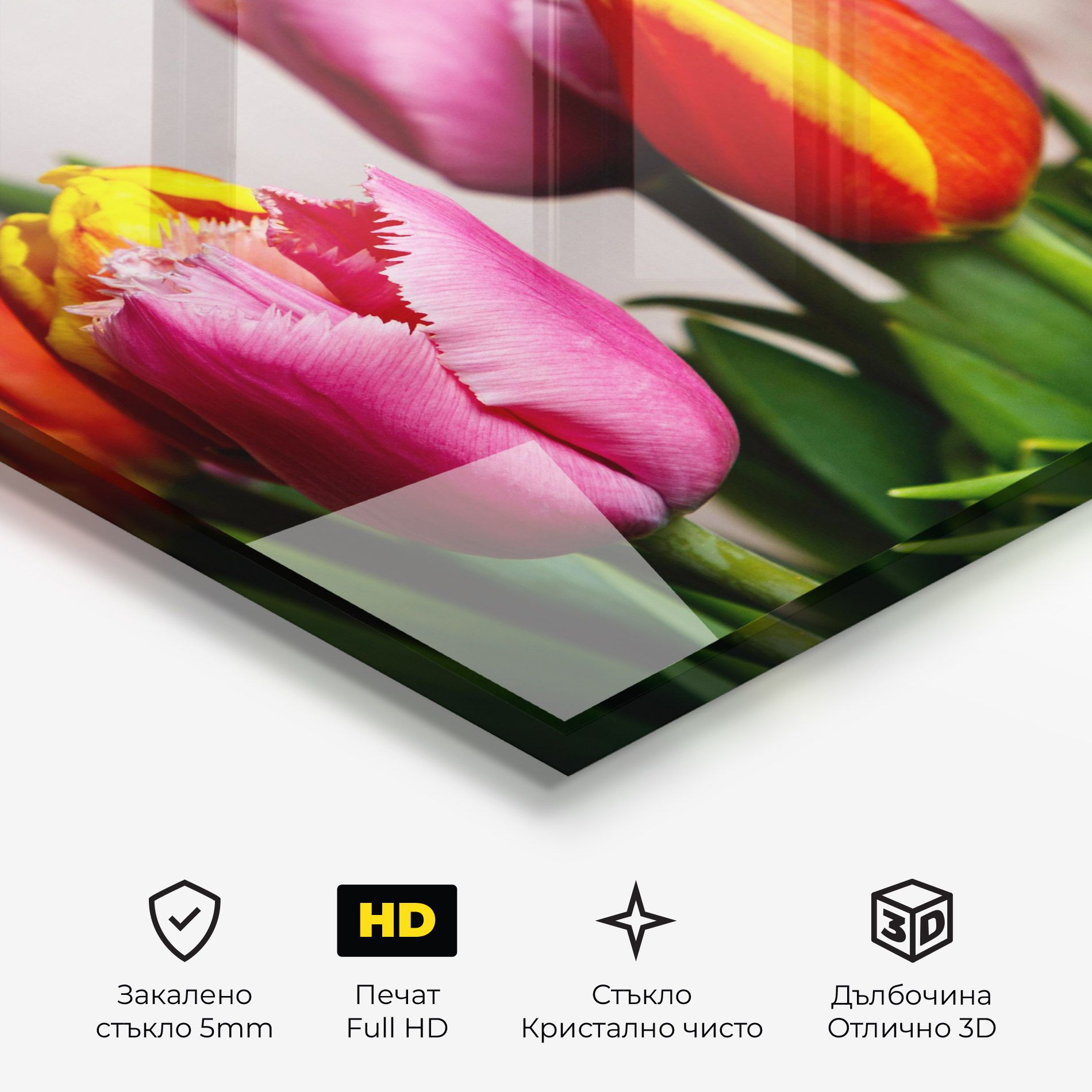 Pink Orange Tulips mockup 3