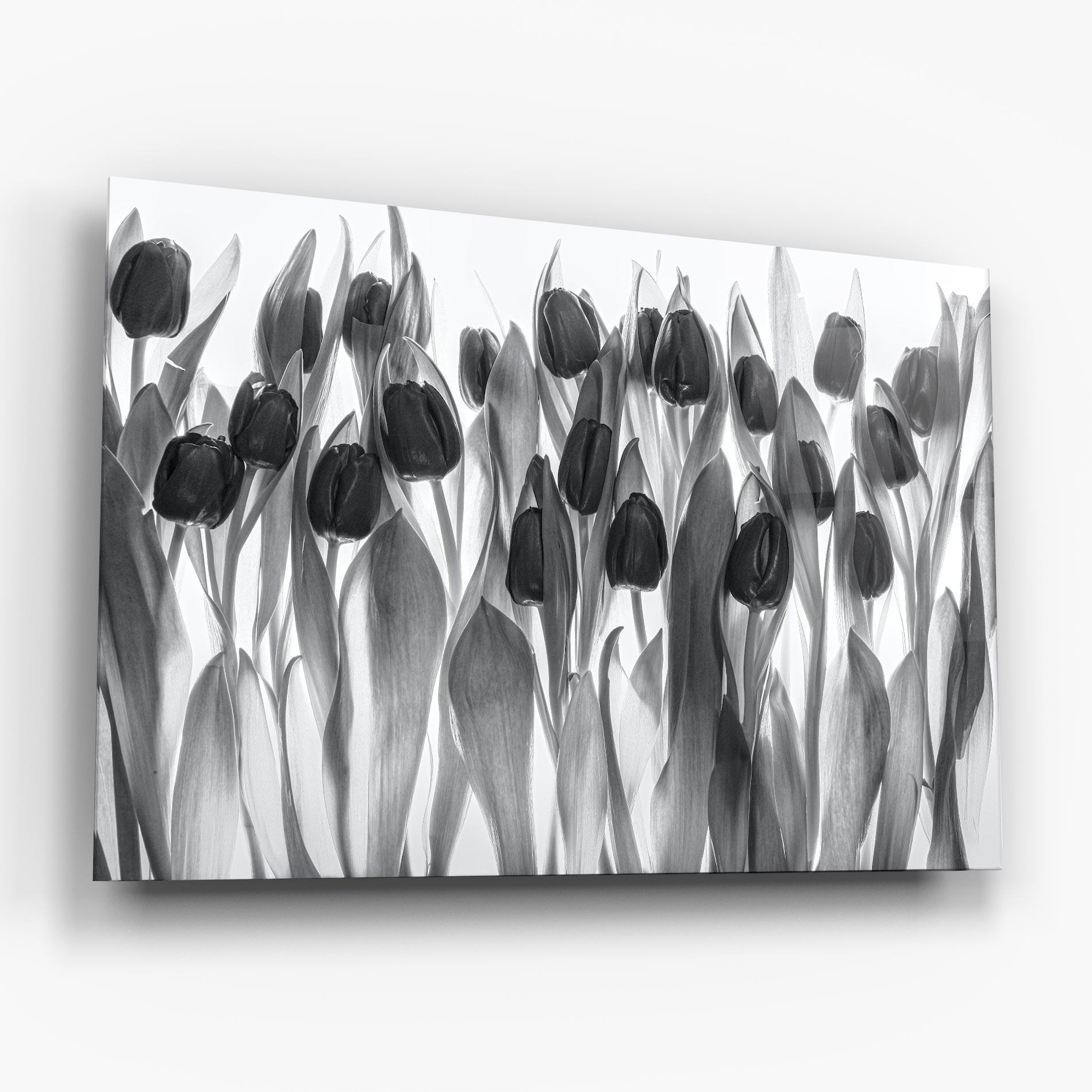 Стъклена картина Grey Tulips mockup 6