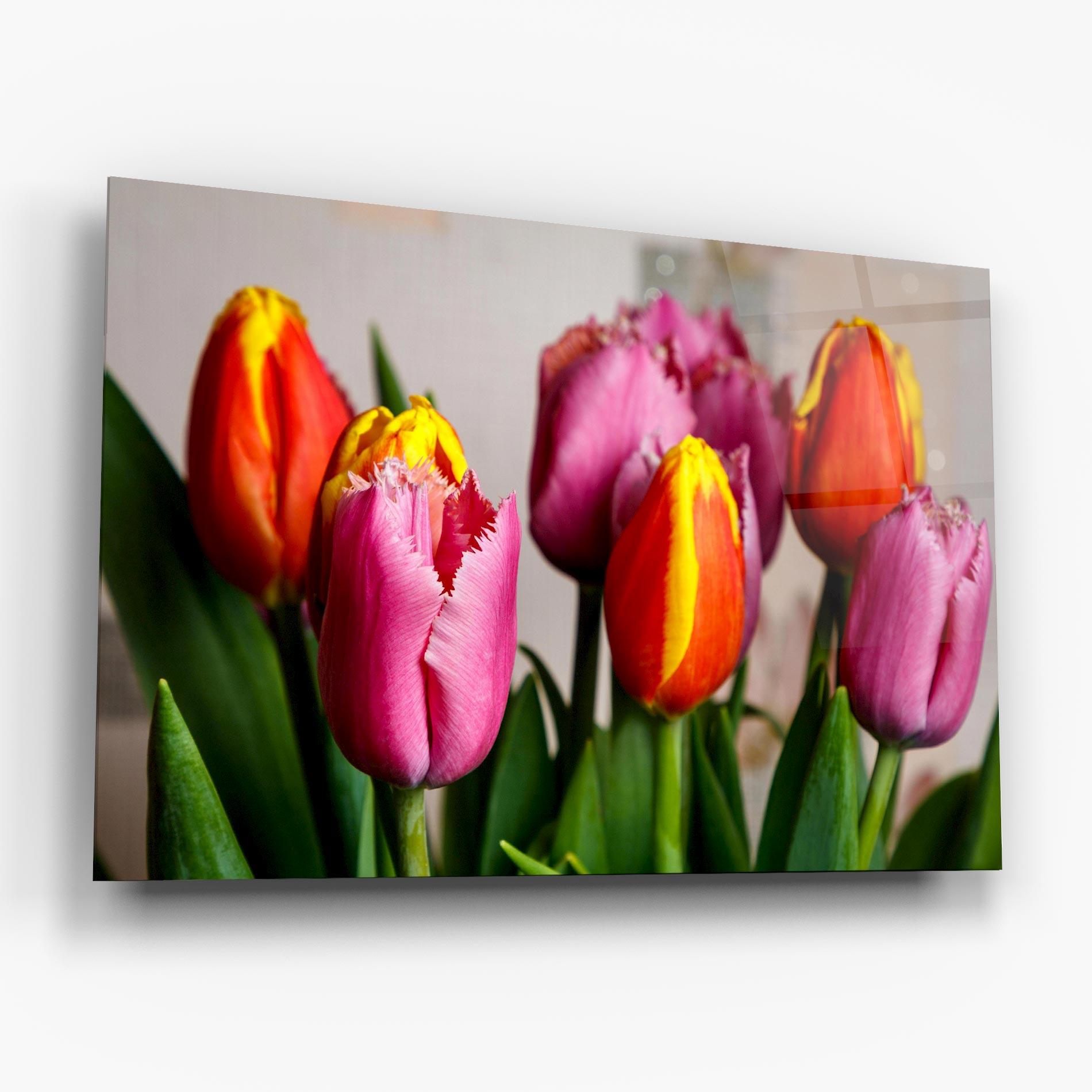 Стъклена картина Pink Orange Tulips mockup 6