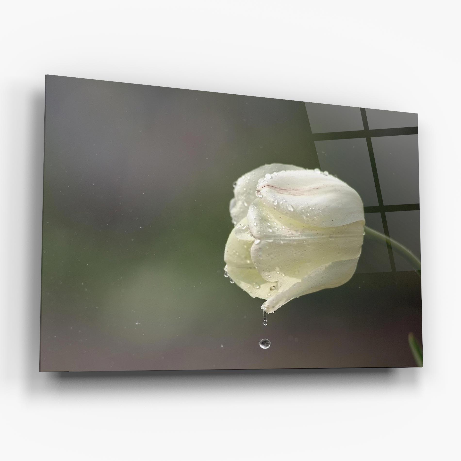Стъклена картина White Single Tulip mockup 6