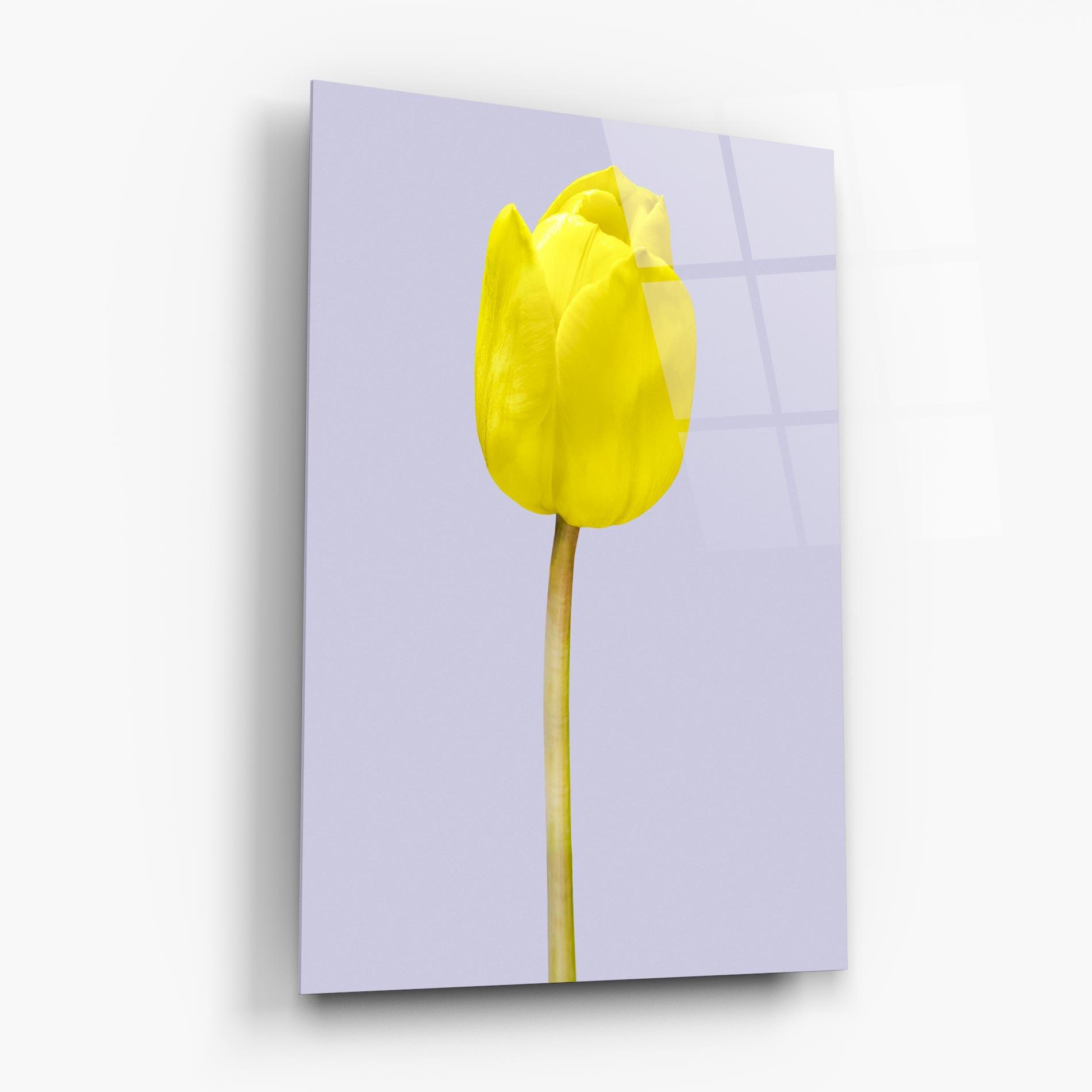 Стъклена картина One Yellow Tulip mockup 6