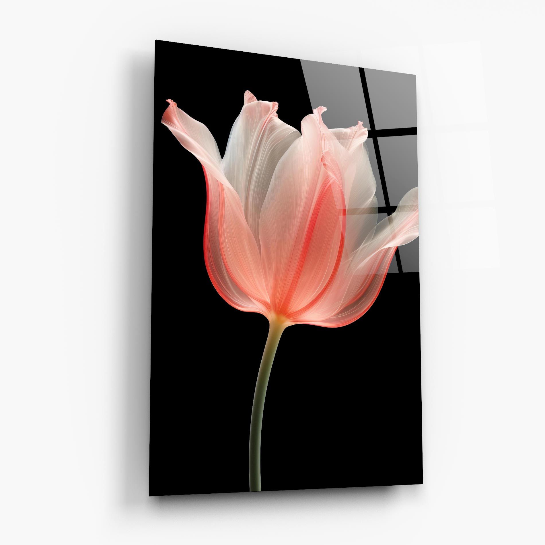 Pastel Pink Tulip mockup 6