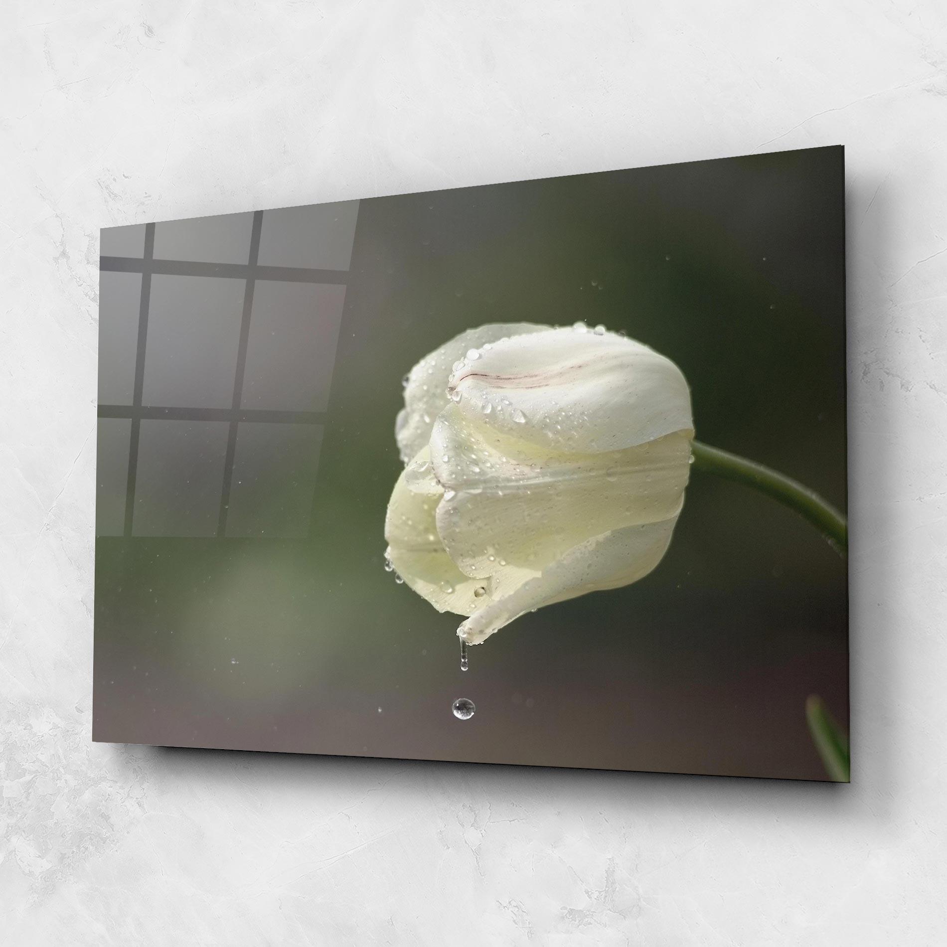 Стъклена картина White Single Tulip mockup 1