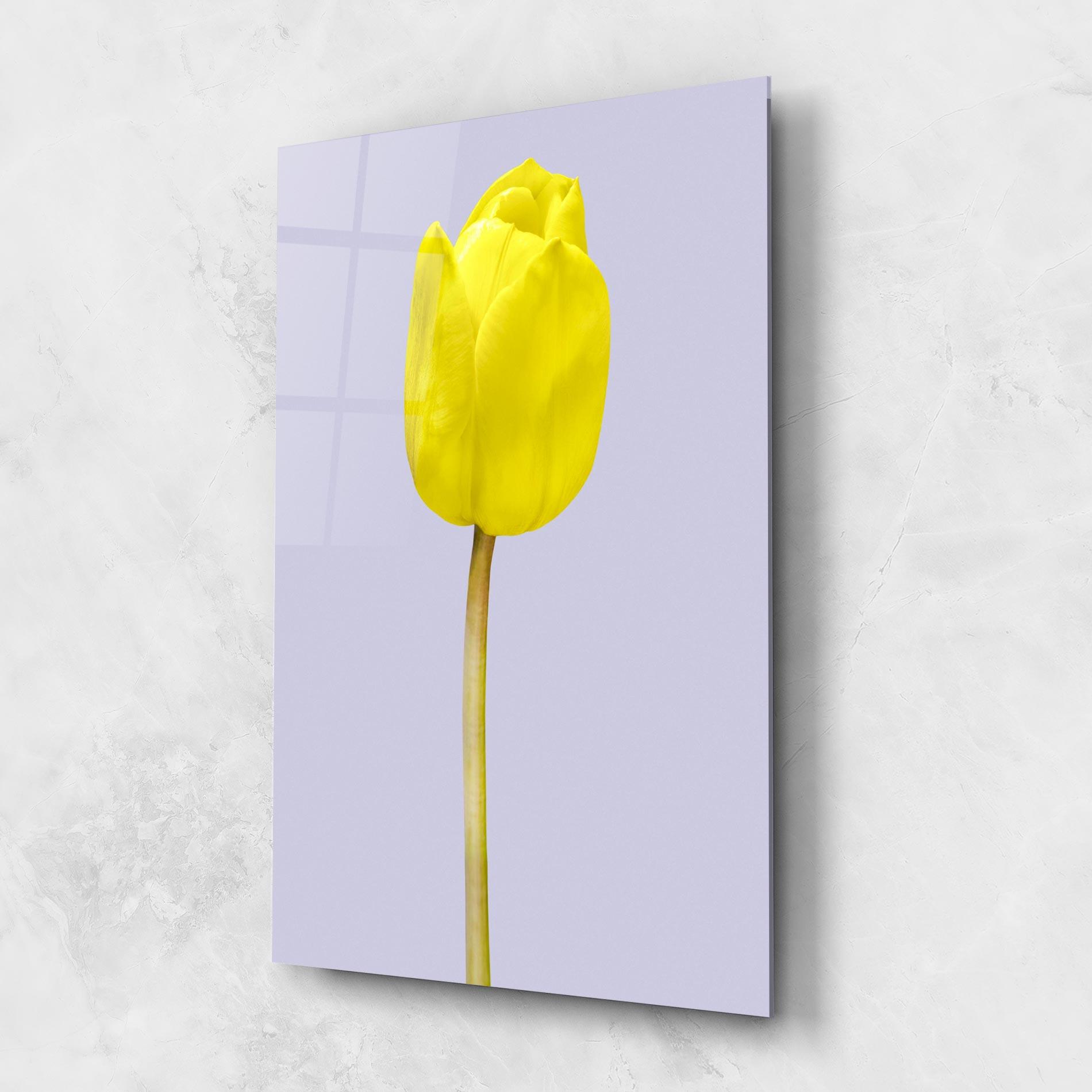 Стъклена картина One Yellow Tulip mockup 1