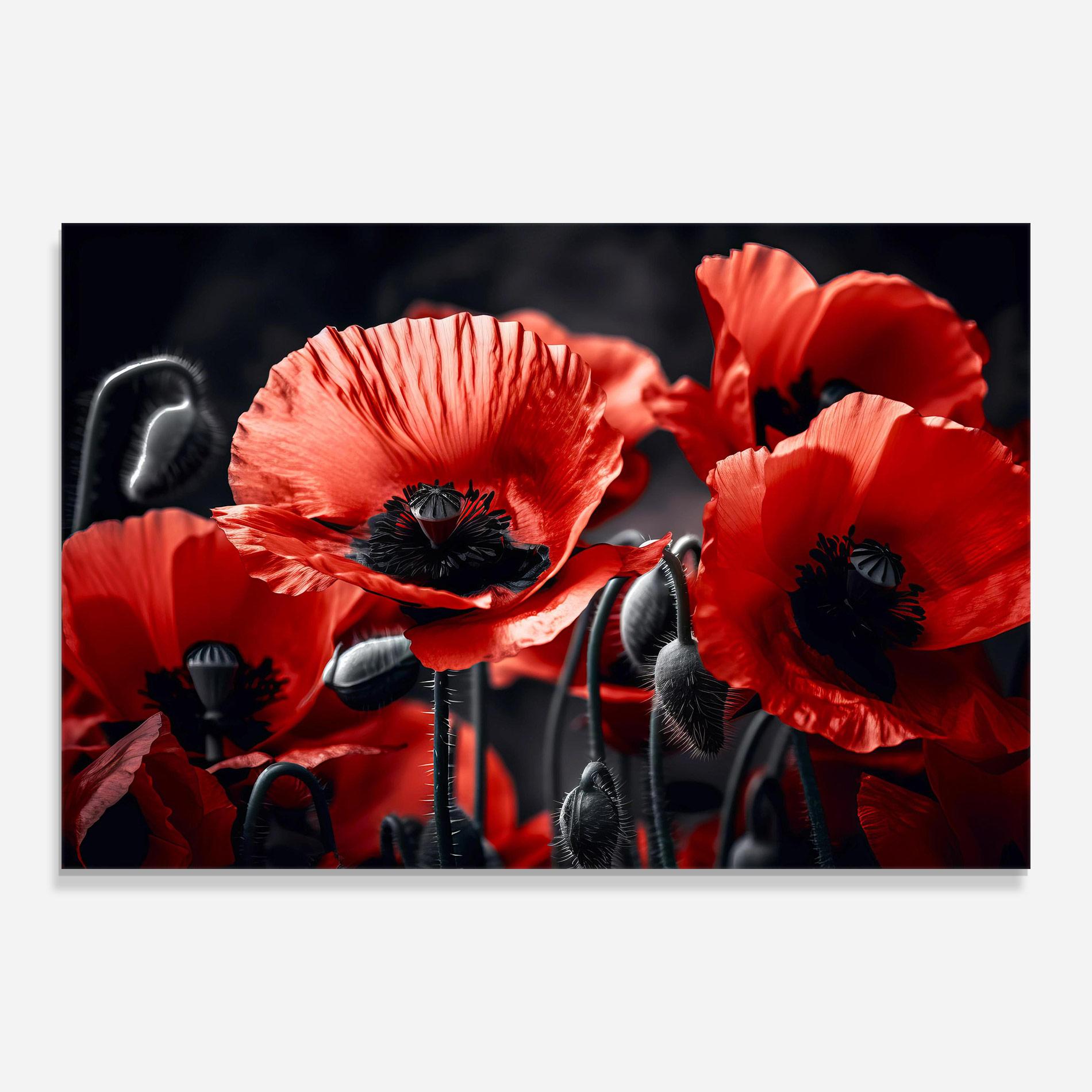 Стъклена картина Black Red Poppy View mockup 0