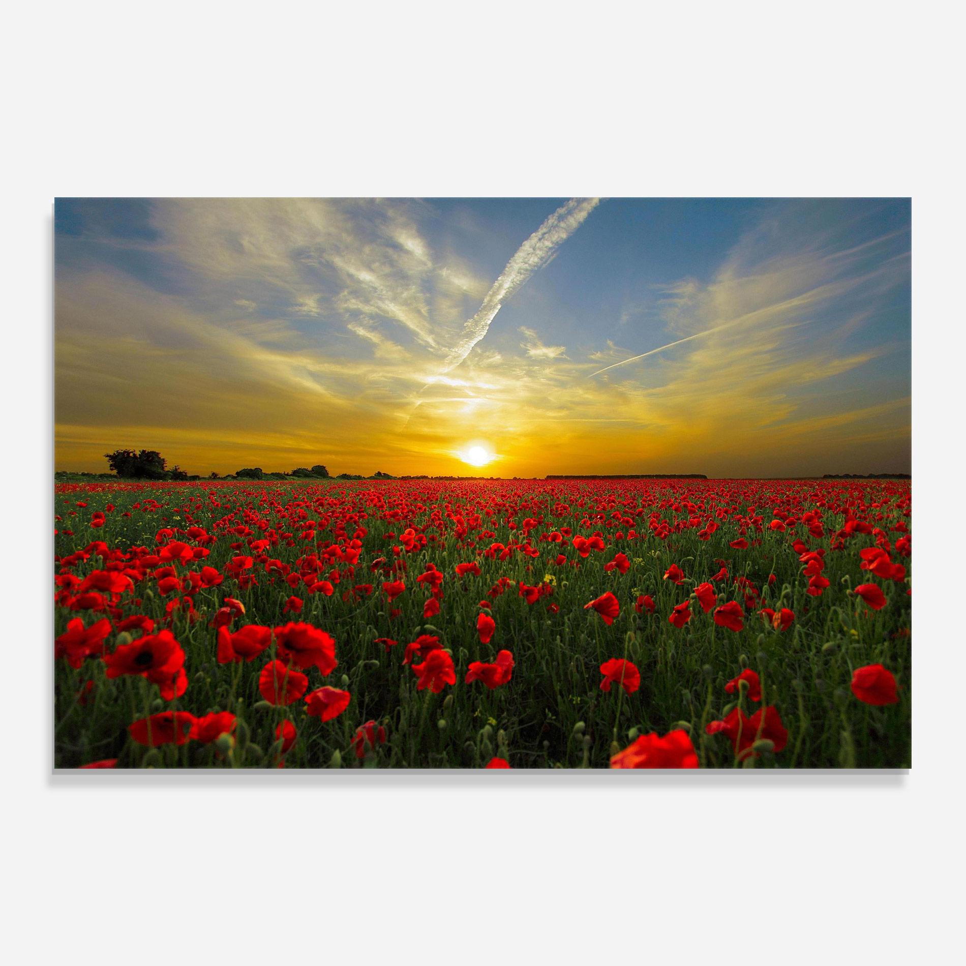 Стъклена картина Poppies Sunset mockup 0