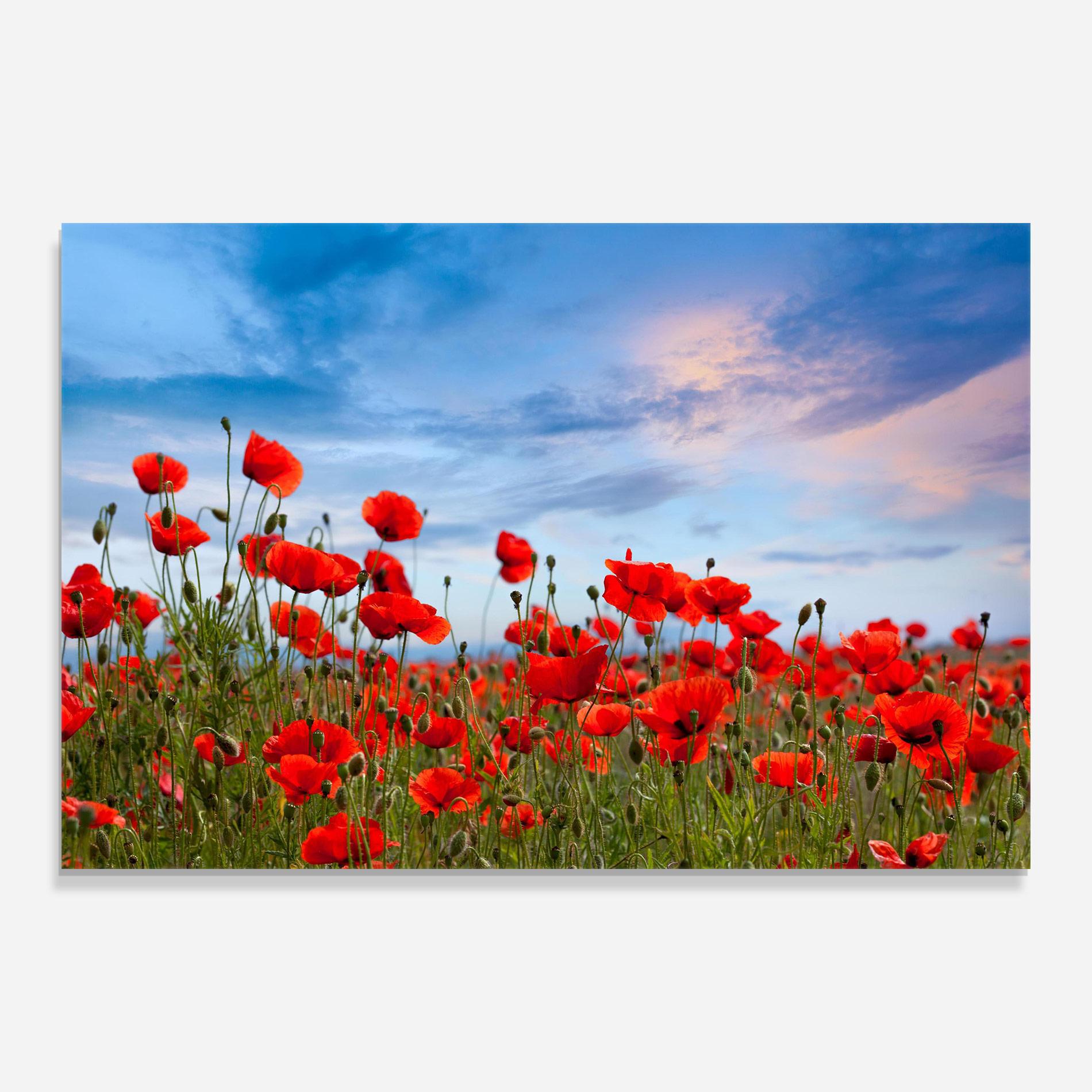 Стъклена картина Poppy Field mockup 0