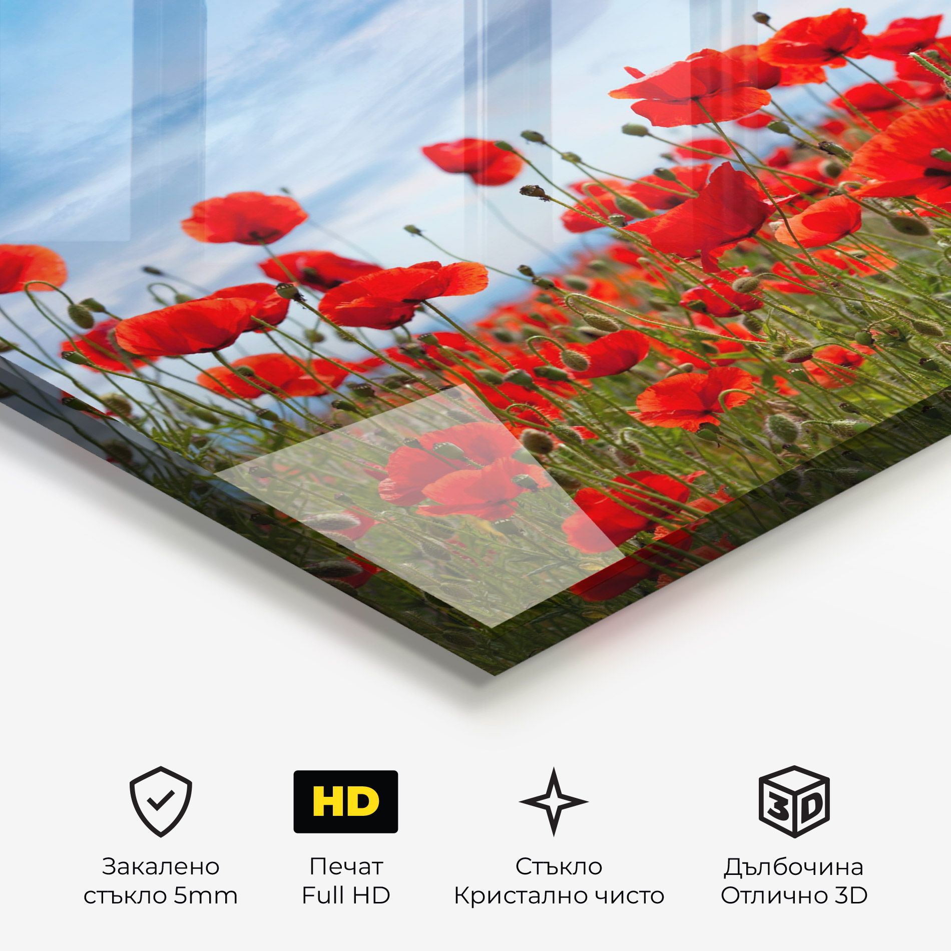 Poppy Field mockup 3