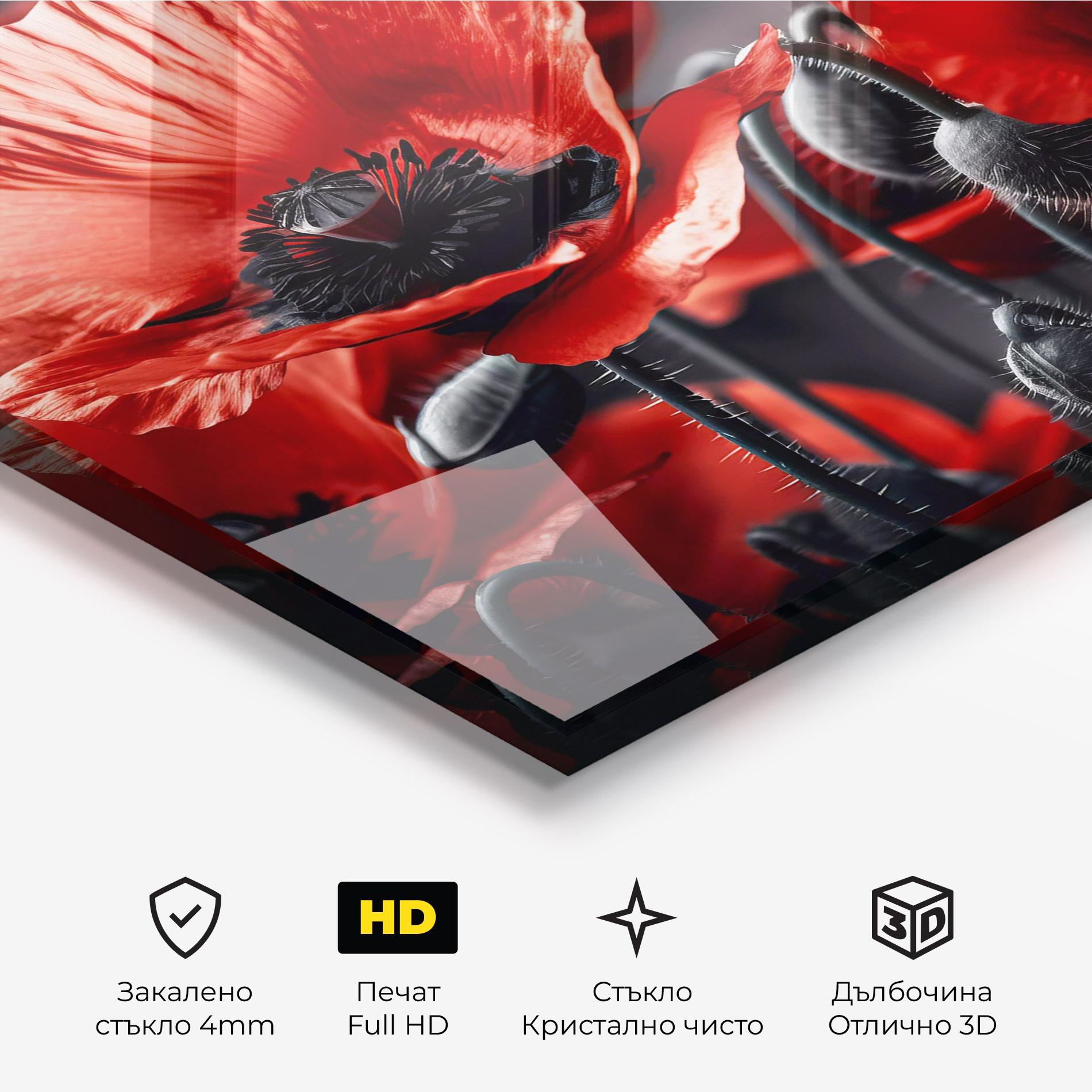 Стъклена картина Black Red Poppy View mockup 3