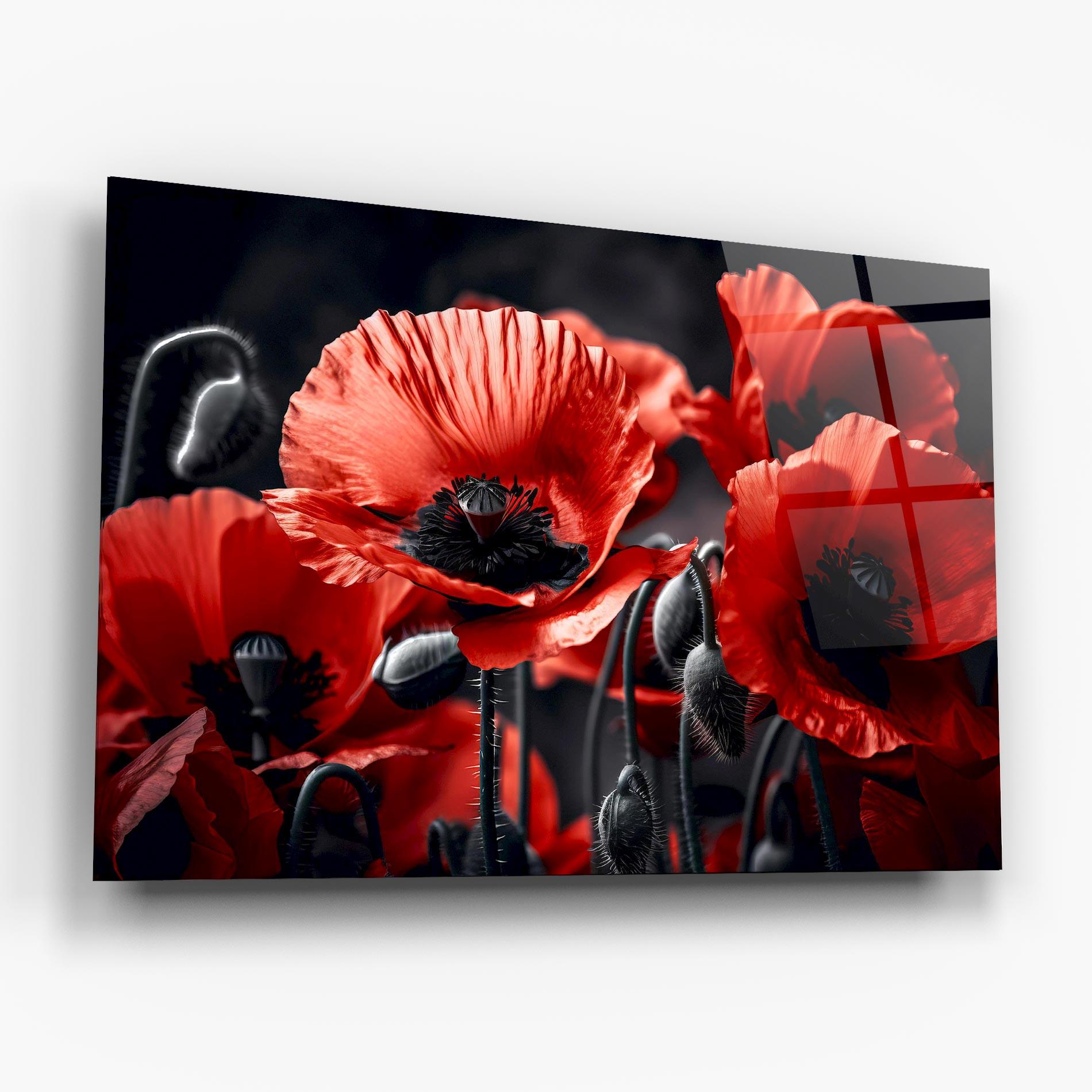 Стъклена картина Black Red Poppy View mockup 6