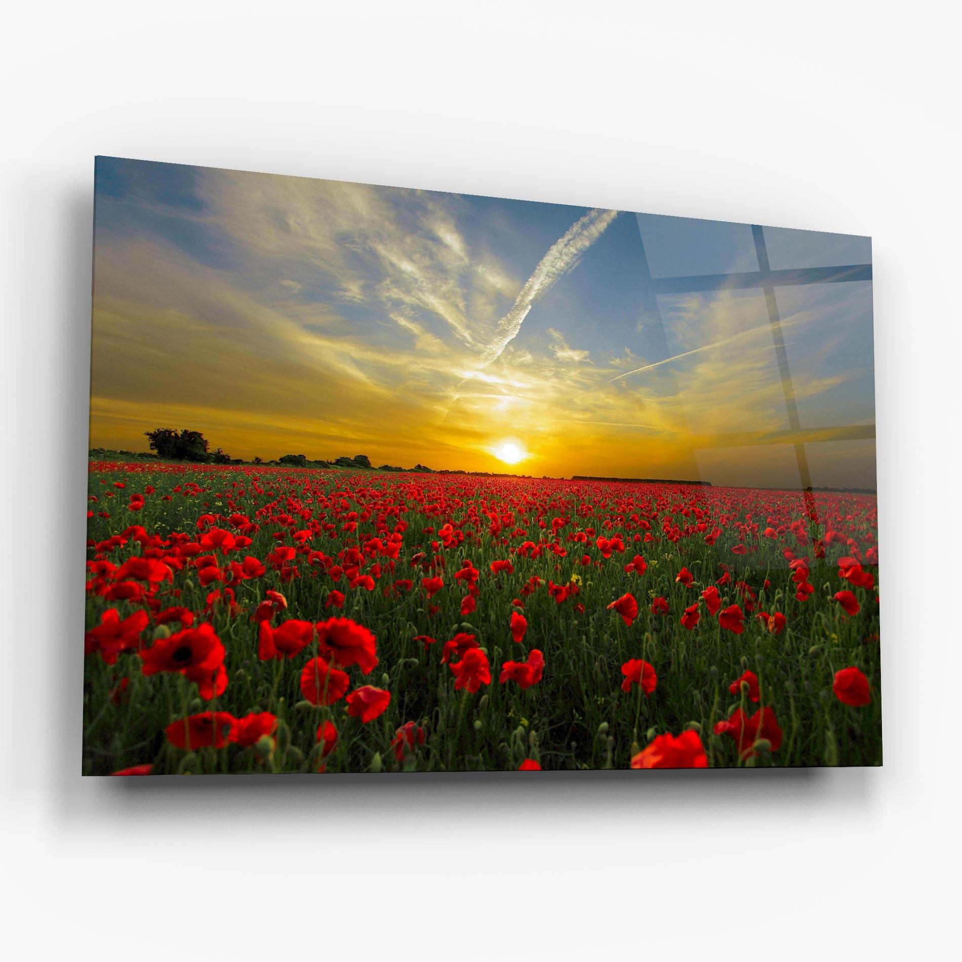 Стъклена картина Poppies Sunset mockup 6