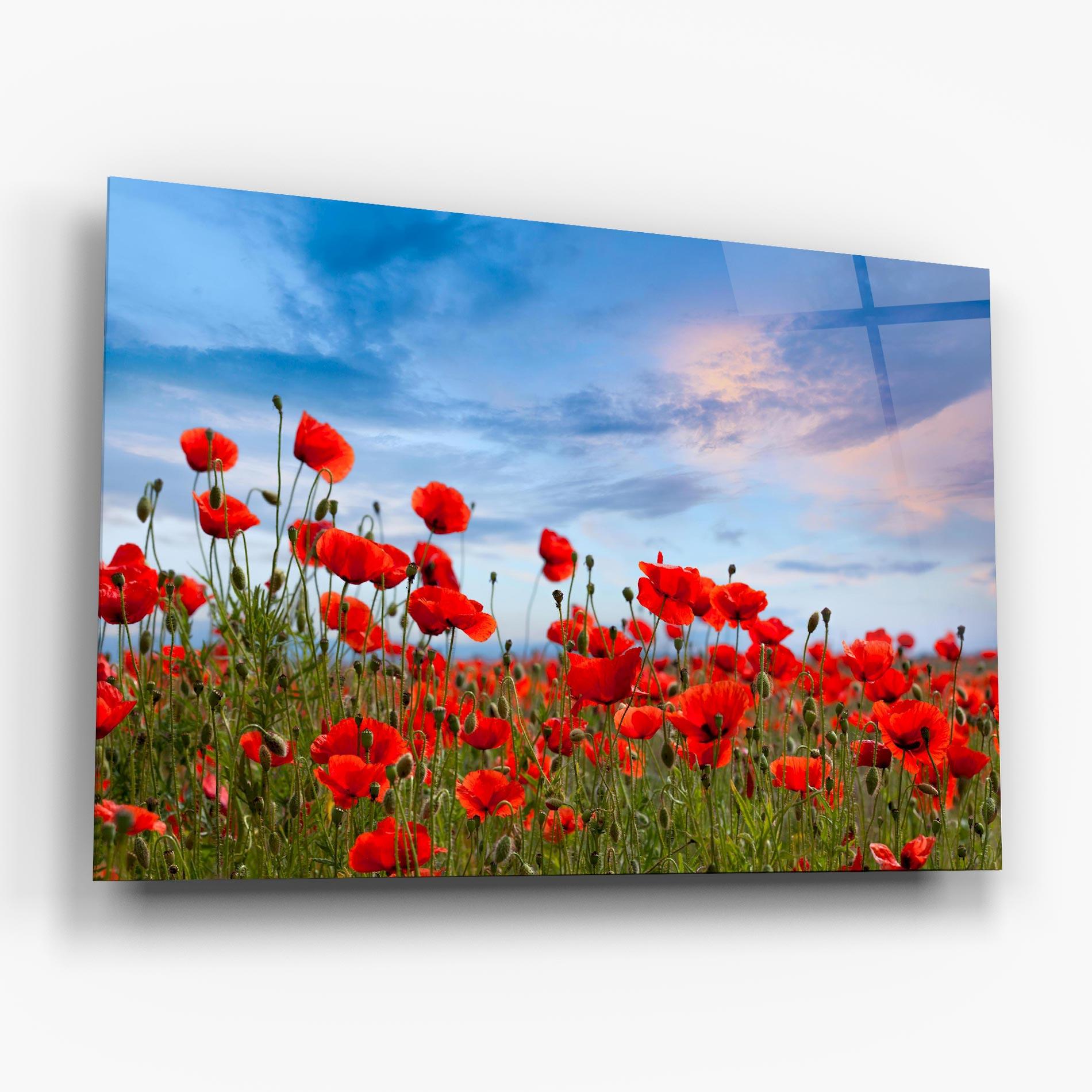 Стъклена картина Poppy Field mockup 6