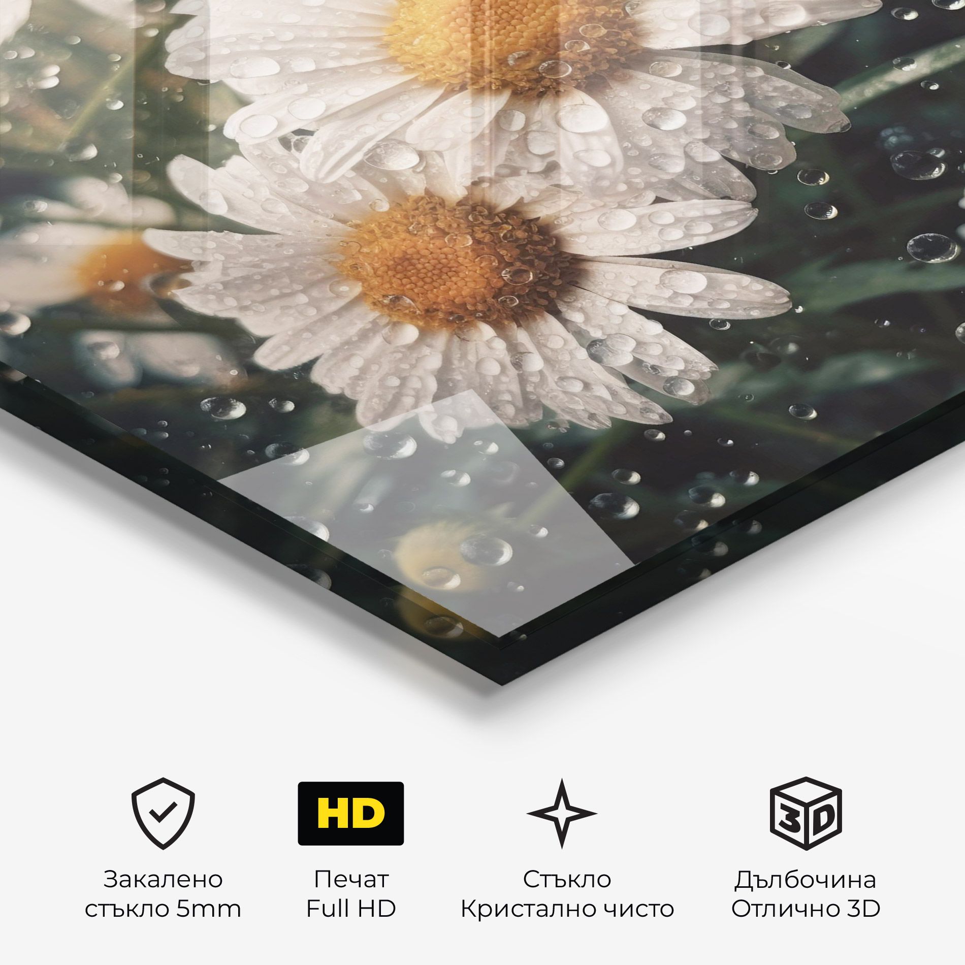 Daisy View After Rain mockup 3