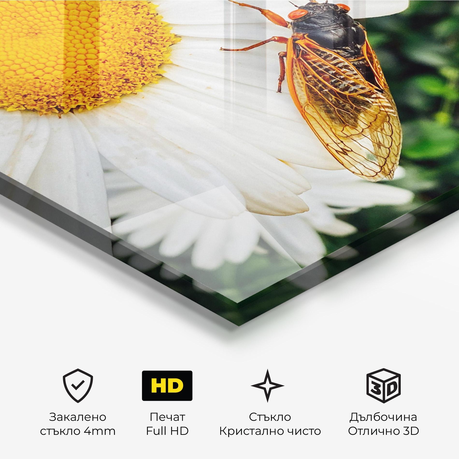 Стъклена картина Bug On The Daisy mockup 3