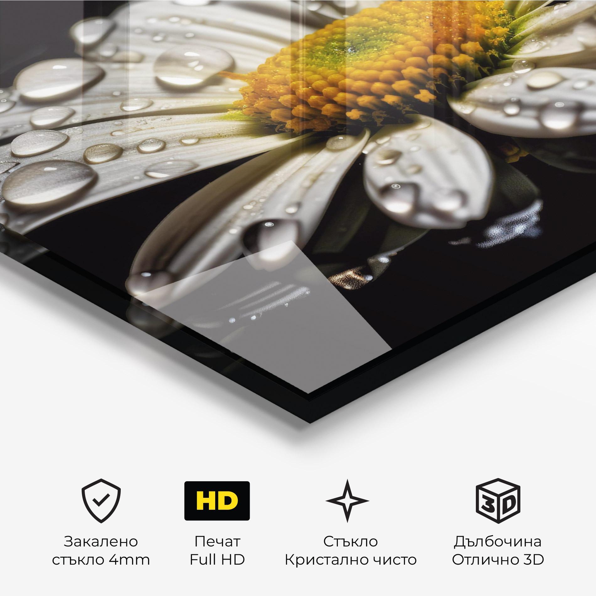 Стъклена картина Daisy After The Rain mockup 3
