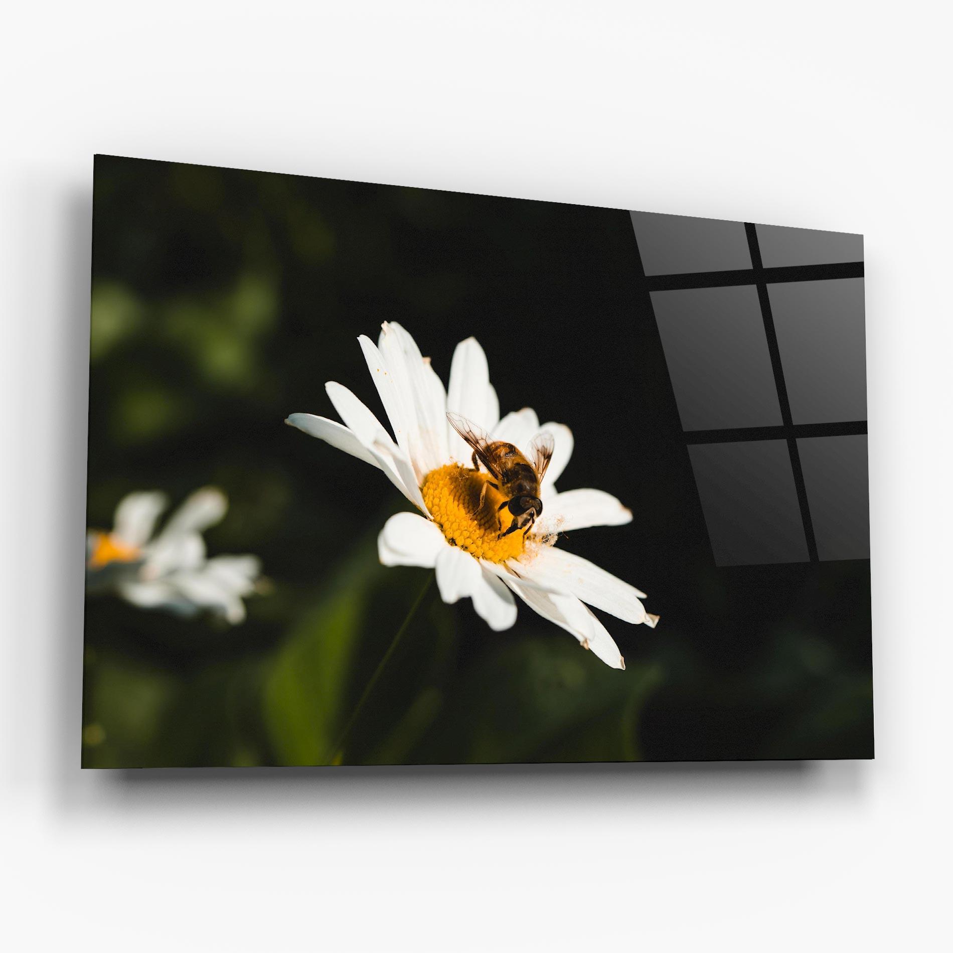 Стъклена картина Bee Flying On Daisy mockup 6