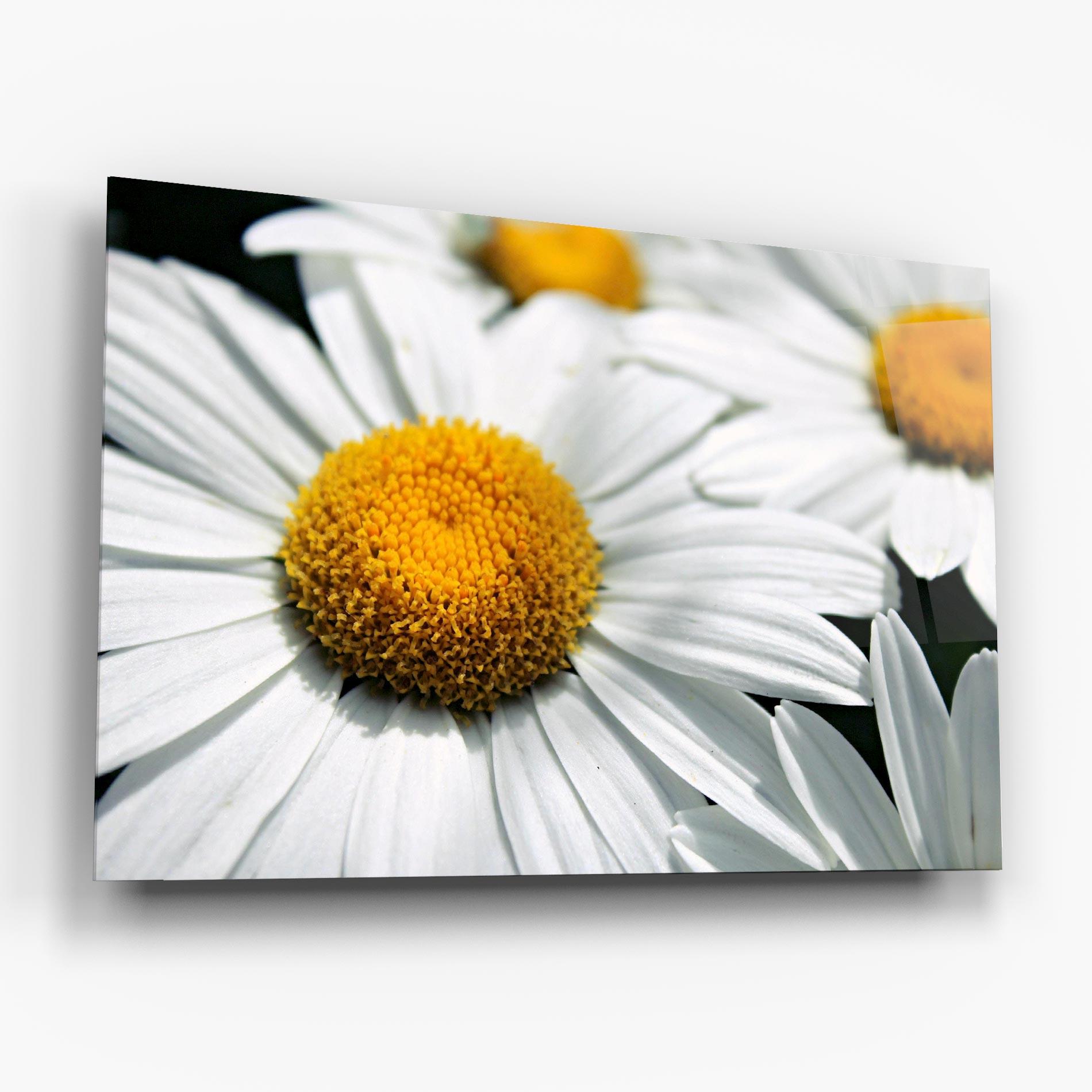Стъклена картина Big Daisies mockup 6